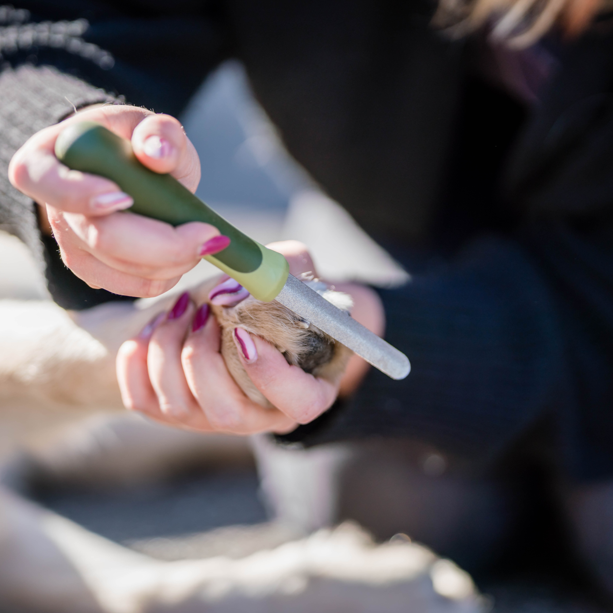 Safari® Hunde Nagelfeile | 5790001073_3.png