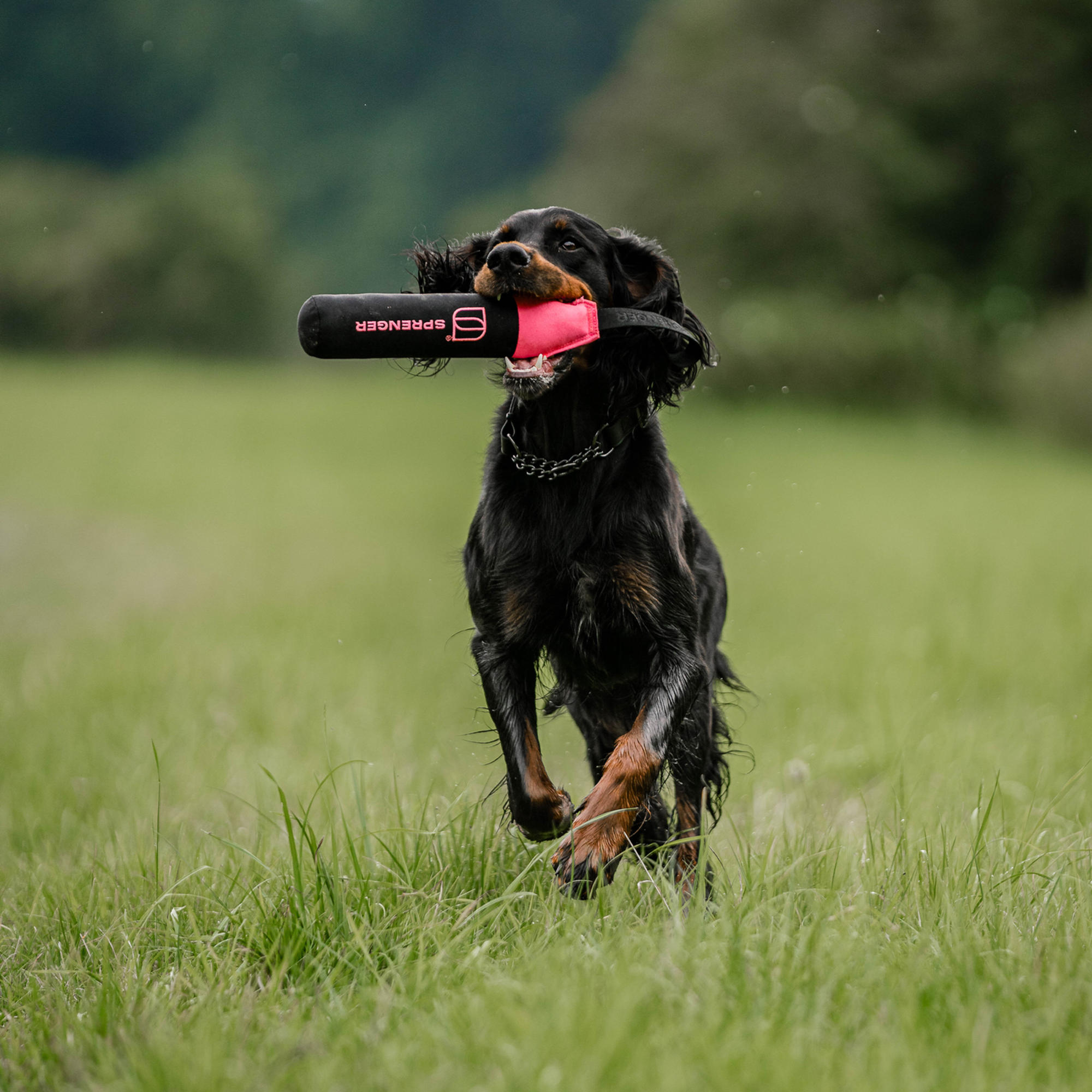 Hundespielzeug Dummy | 5818700100_12.png