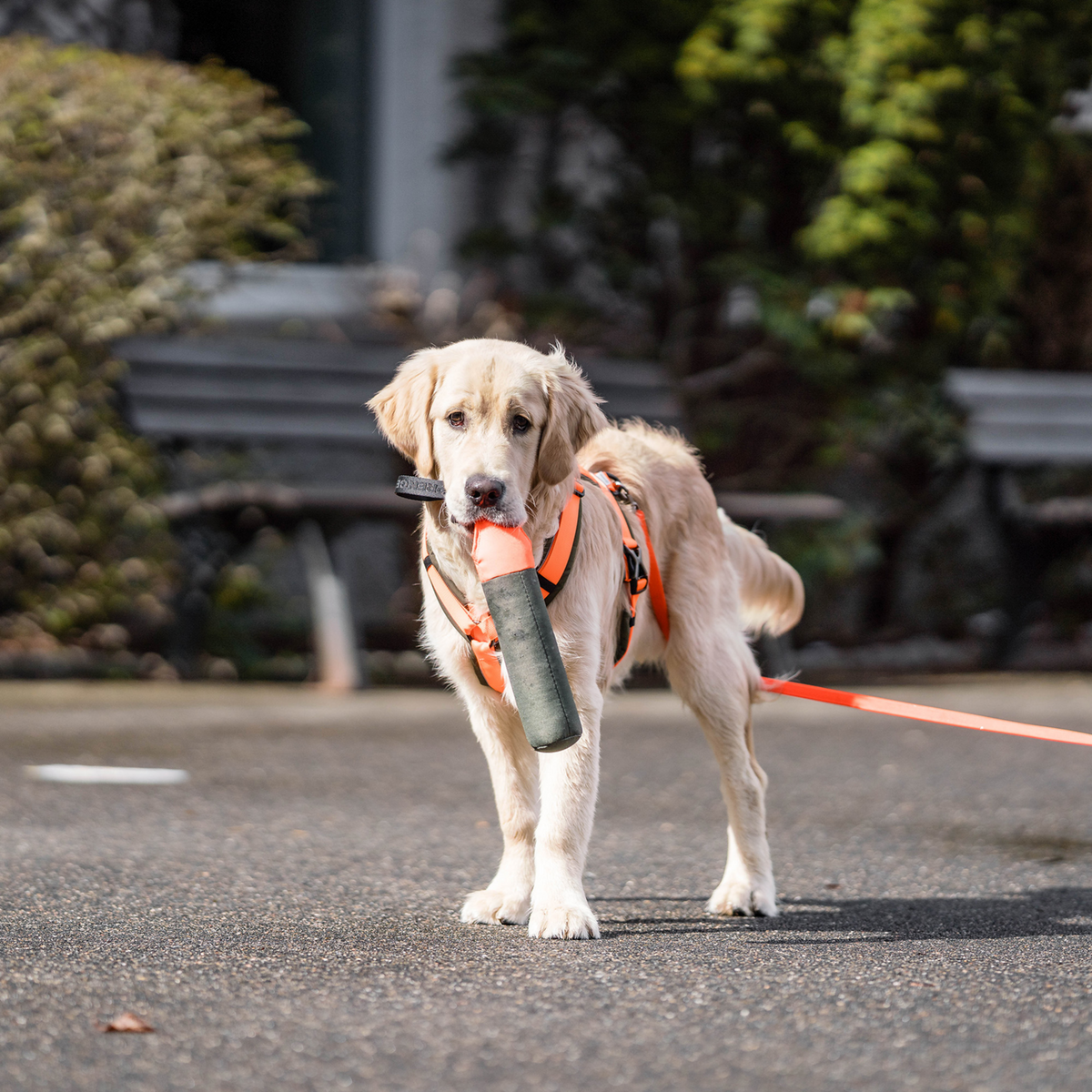 Hundespielzeug Dummy | 5818700173_3.png