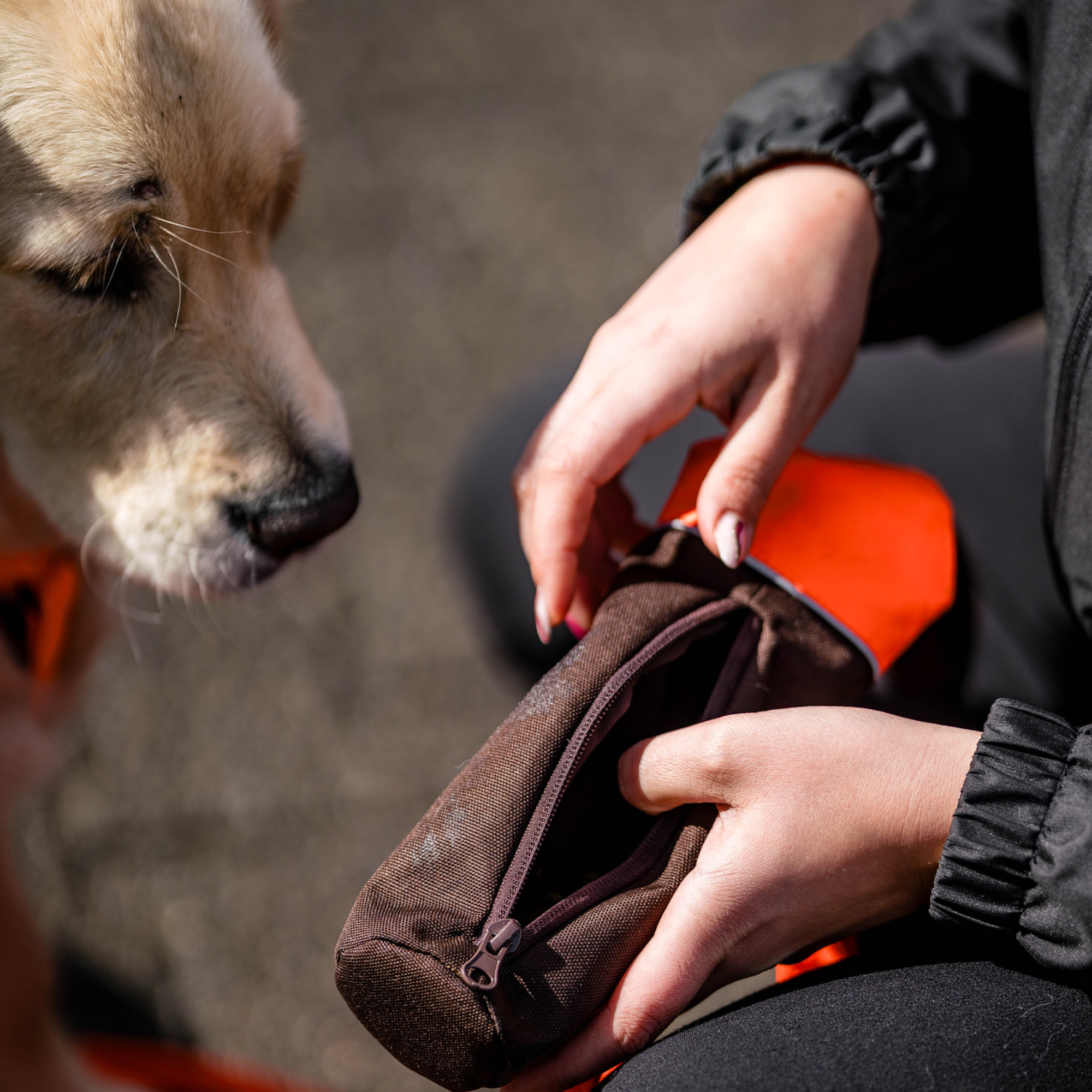 Hundespielzeug Futterdummy | 5818700475_4.png