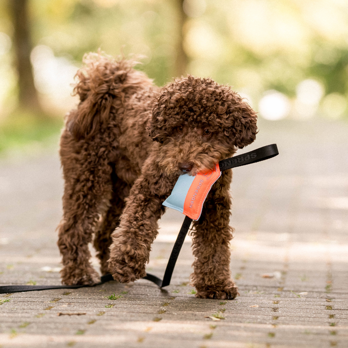 Hundespielzeug Kissen | 5818702200_1.png