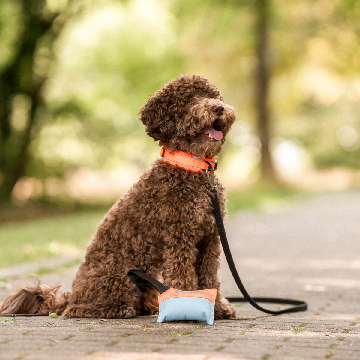 Hundespielzeug Kissen | 5818702200_2.png