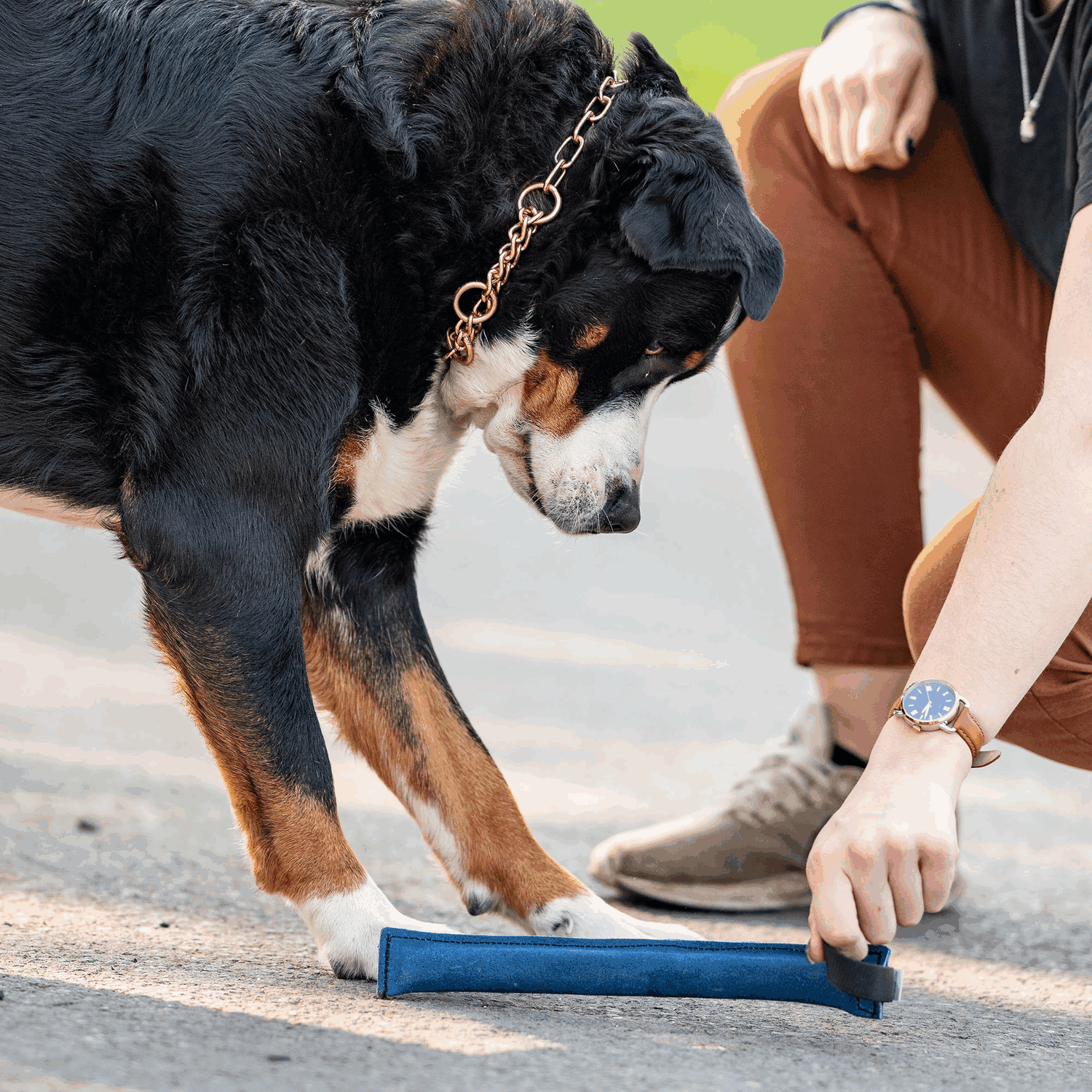 Leder Bringsel | 58196_001_00-3.png | 1731103585