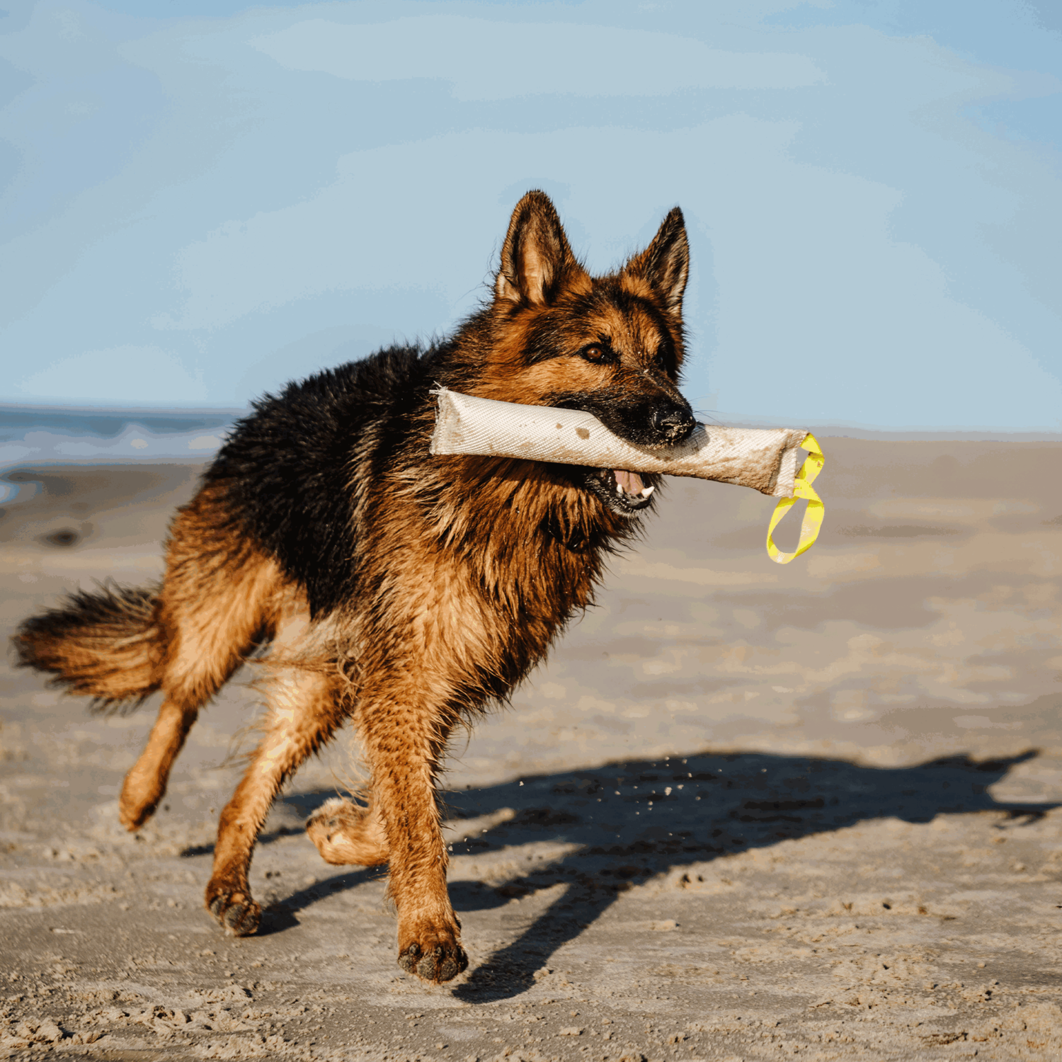 Feuerwehrschlauch Bringsel | 58196_010_003.png | 1731103598