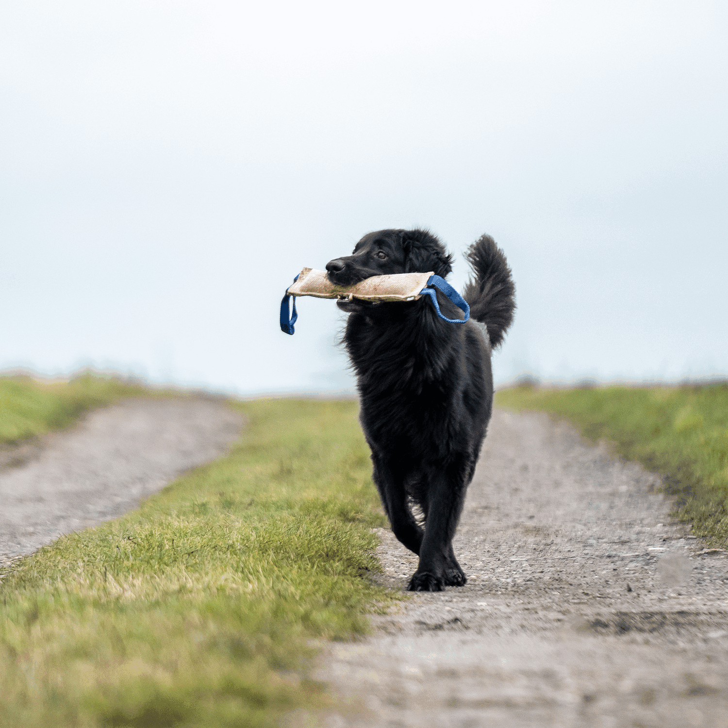 Bringsel Jute | 5819702200_11.png | 1731103606