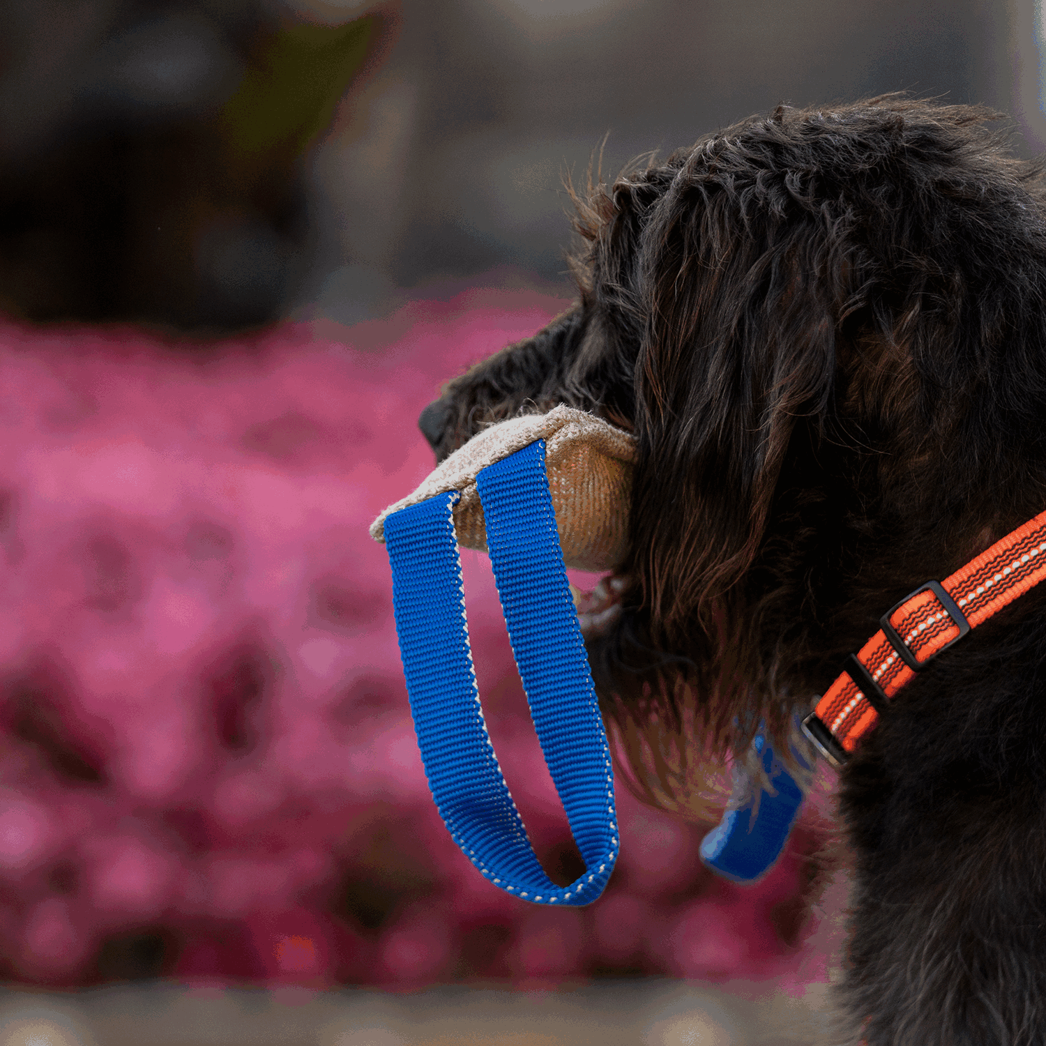 Bringsel Jute | 5819702200_8.png | 1731103608