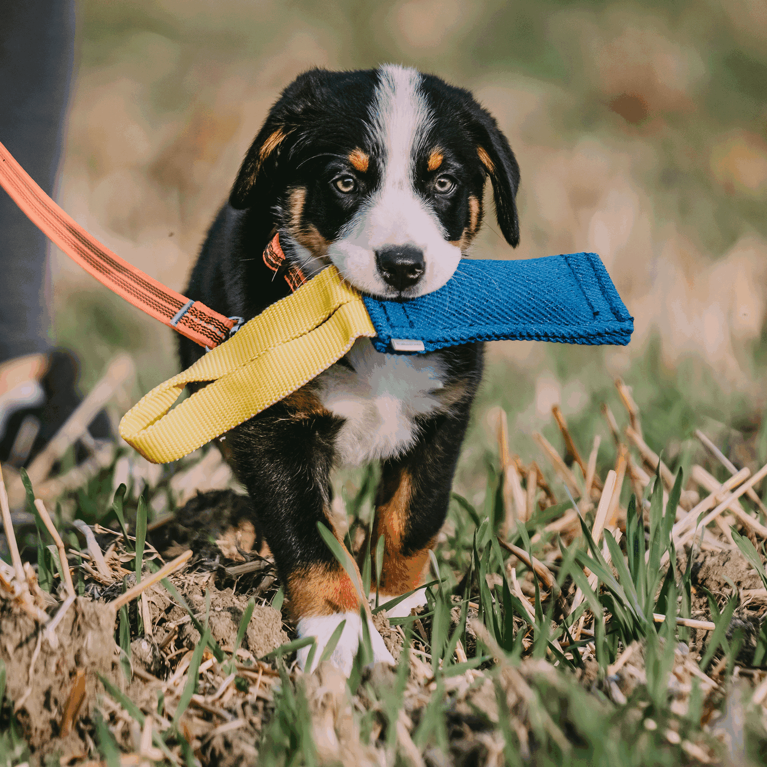 Bringsel Baumwolle XS | 5819705076_2.png | 1731103610