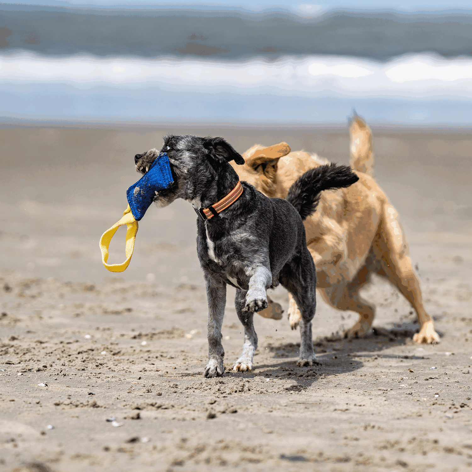 Bringsel Baumwolle XS | 5819705076_8.png | 1731103612