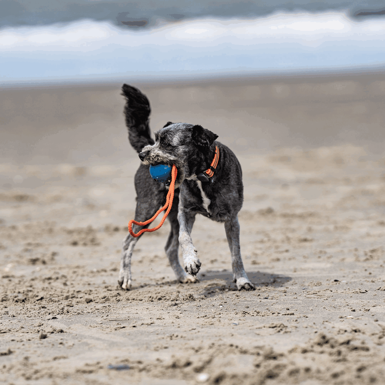 Gummiball bunt | 5819800100_8.png | 1731103624