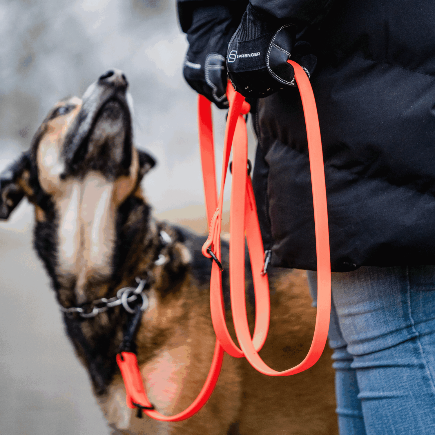 BioThane® Hundeleine 3 fach verstellbar 2.3m | 5911023077_07.png