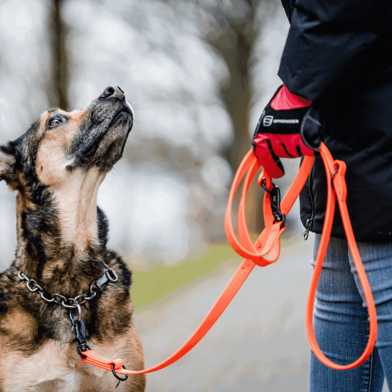 BioThane® Hundeleine 3 fach verstellbar 2.3m | 5911023077_08.png