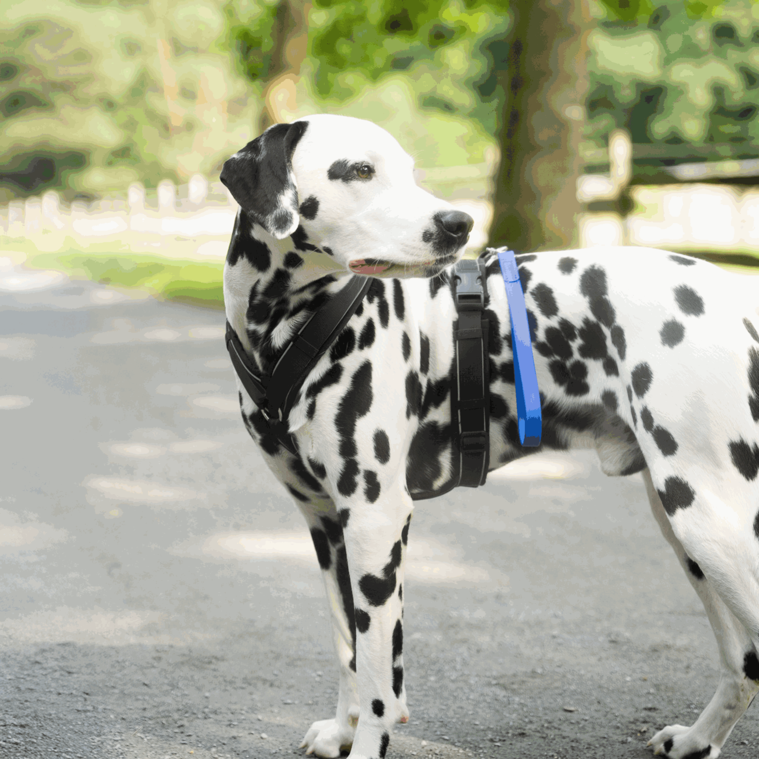 BioThane® Kurzführer | 5911203076_07.png