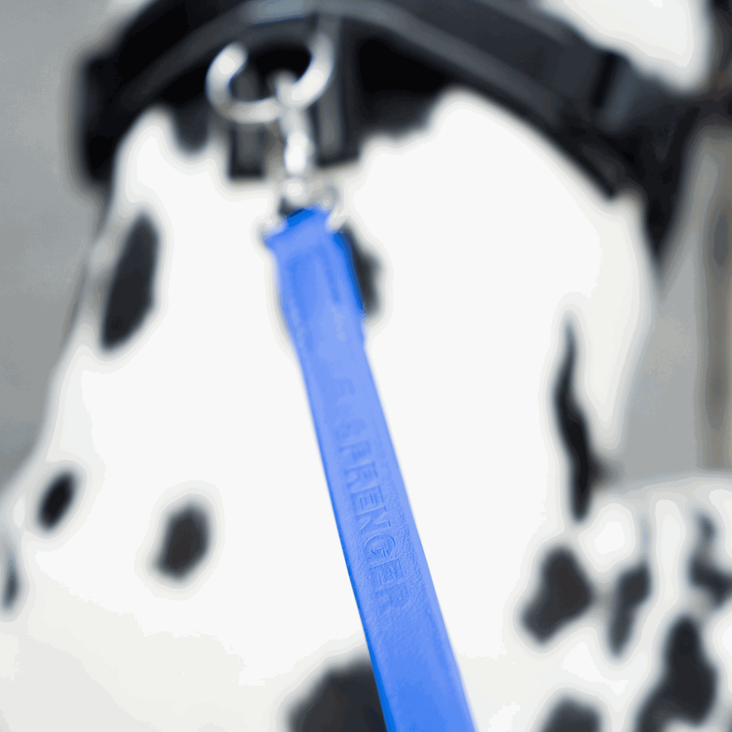 BioThane® Kurzführer | 5911203076_09.png