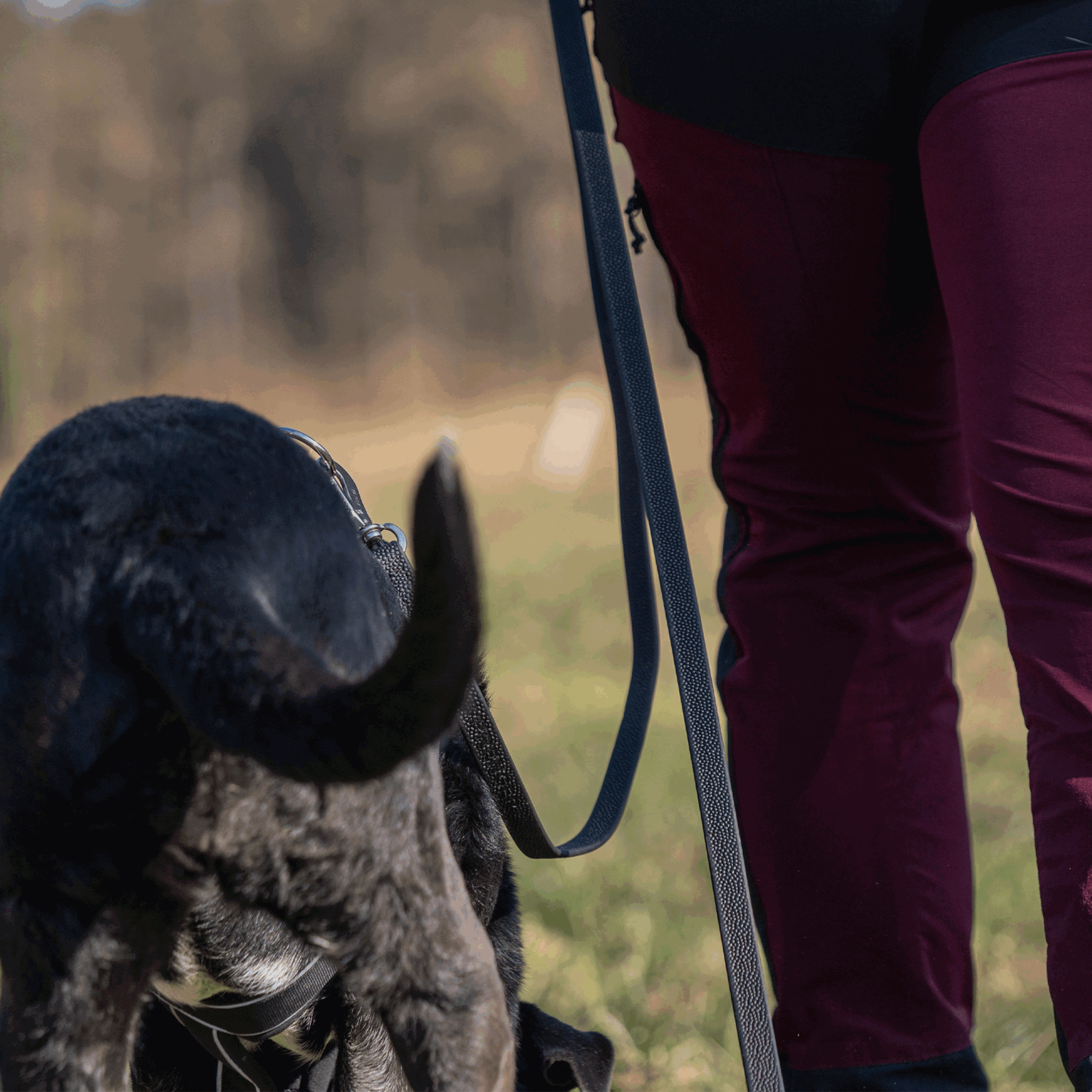 Footballgrip BioThane® Schleppleine | 59113_71_5.png | 1742904081