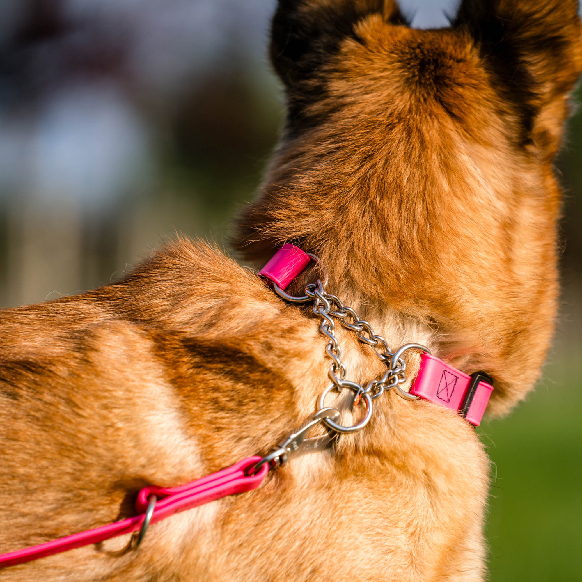 BioThane® Adjustable Halsband mit Durchzugskette 40 65cm | 5921000170_05.png