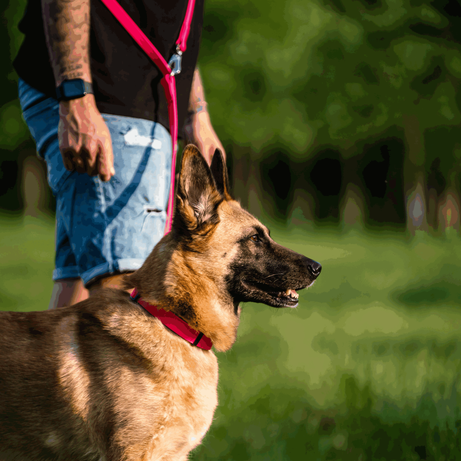 BioThane® Adjustable Halsband mit Durchzugskette 40 65cm | 5921000170_06.png | 1731102729