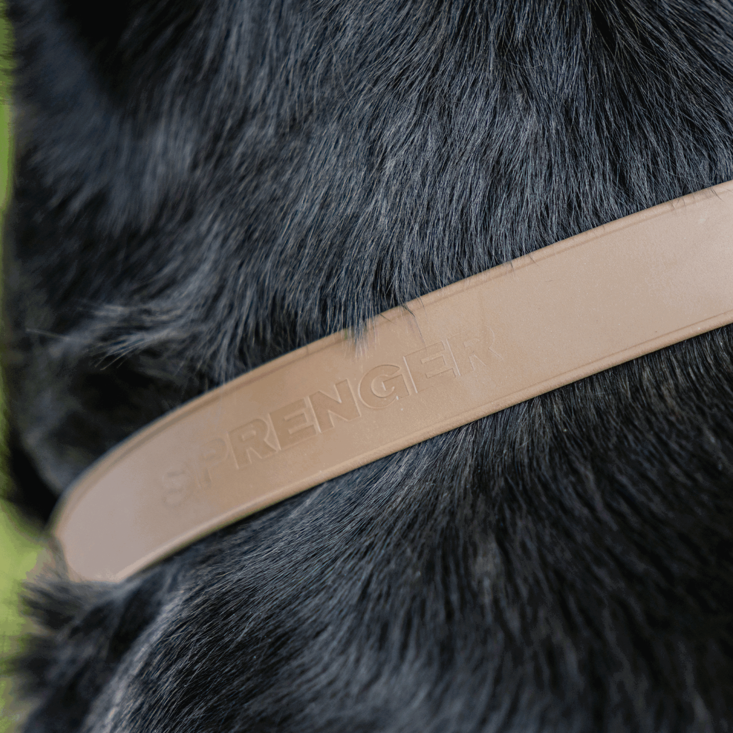 BioThane® Adjustable Halsband mit Durchzugskette 40 65cm | 5921000175_04.png | 1731102761