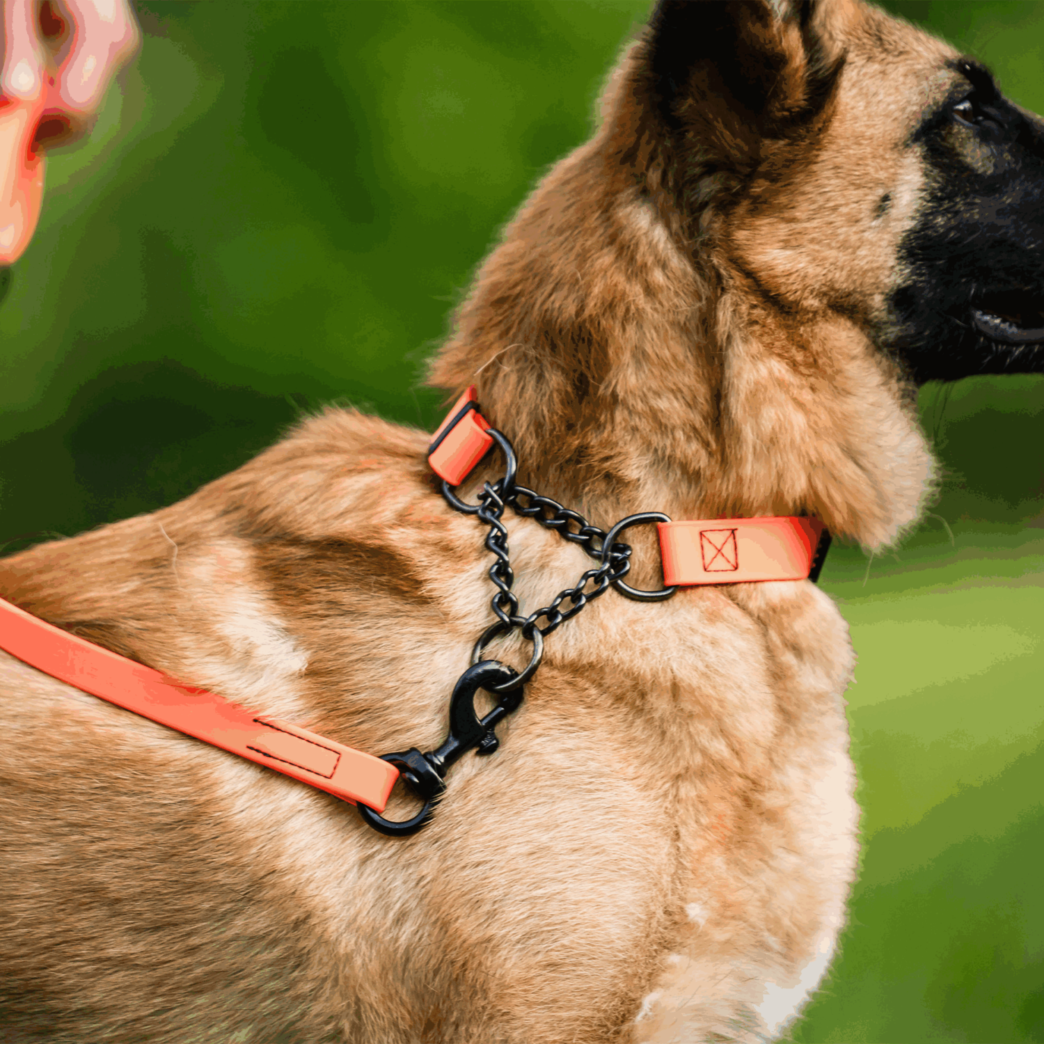 BioThane® Adjustable Halsband mit Durchzugskette 40 65cm | 5921000177_04.png | 1731102794