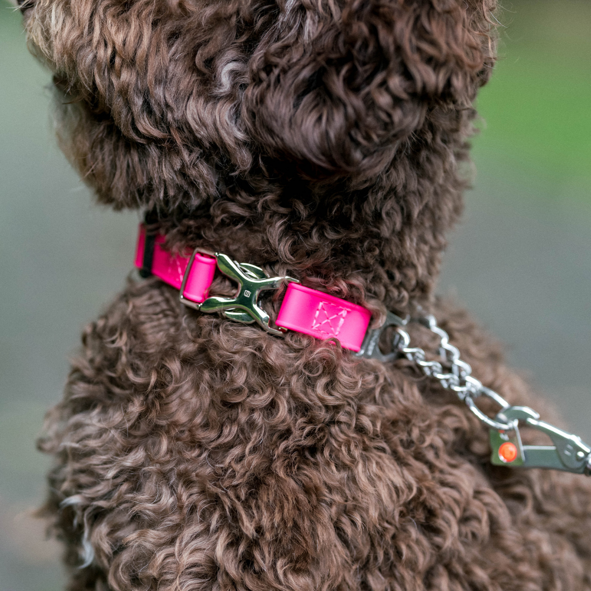 BioThane® Adjustable Halsband mit Durchzugskette und Spyder Verschluss verstellbar | 5921010070-3.png