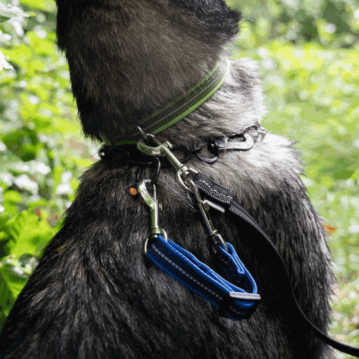 Safety Clip 15 20cm | 5923600676.png | 1748937668