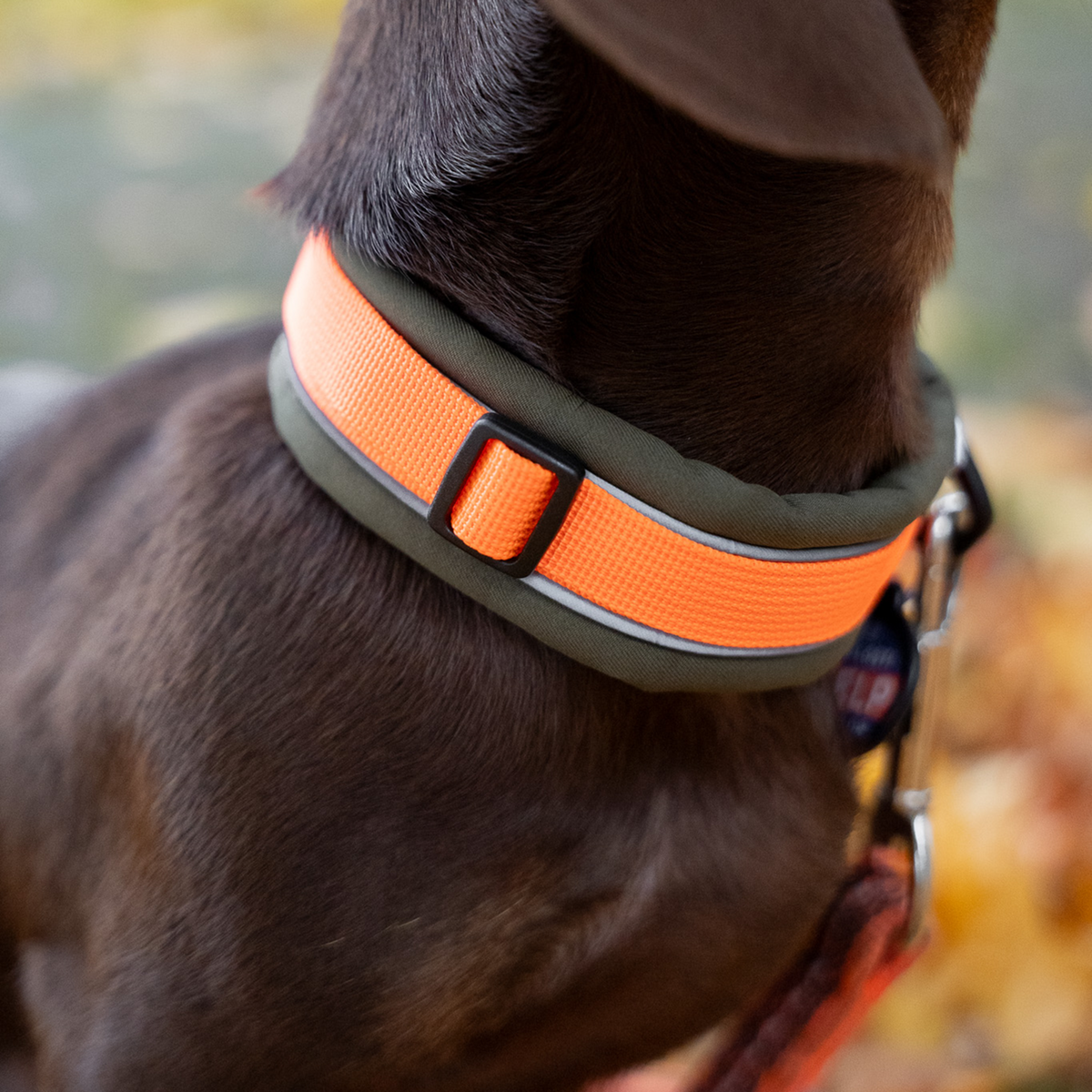Hundehalsband | 5954000073_2.png