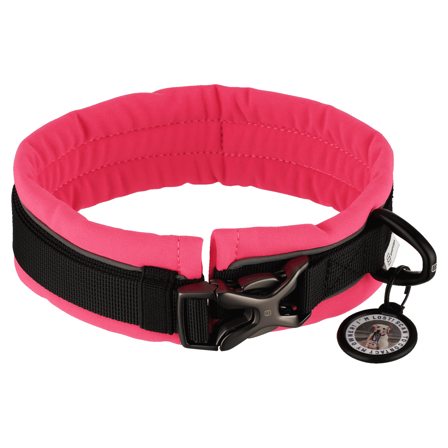 Dog collar