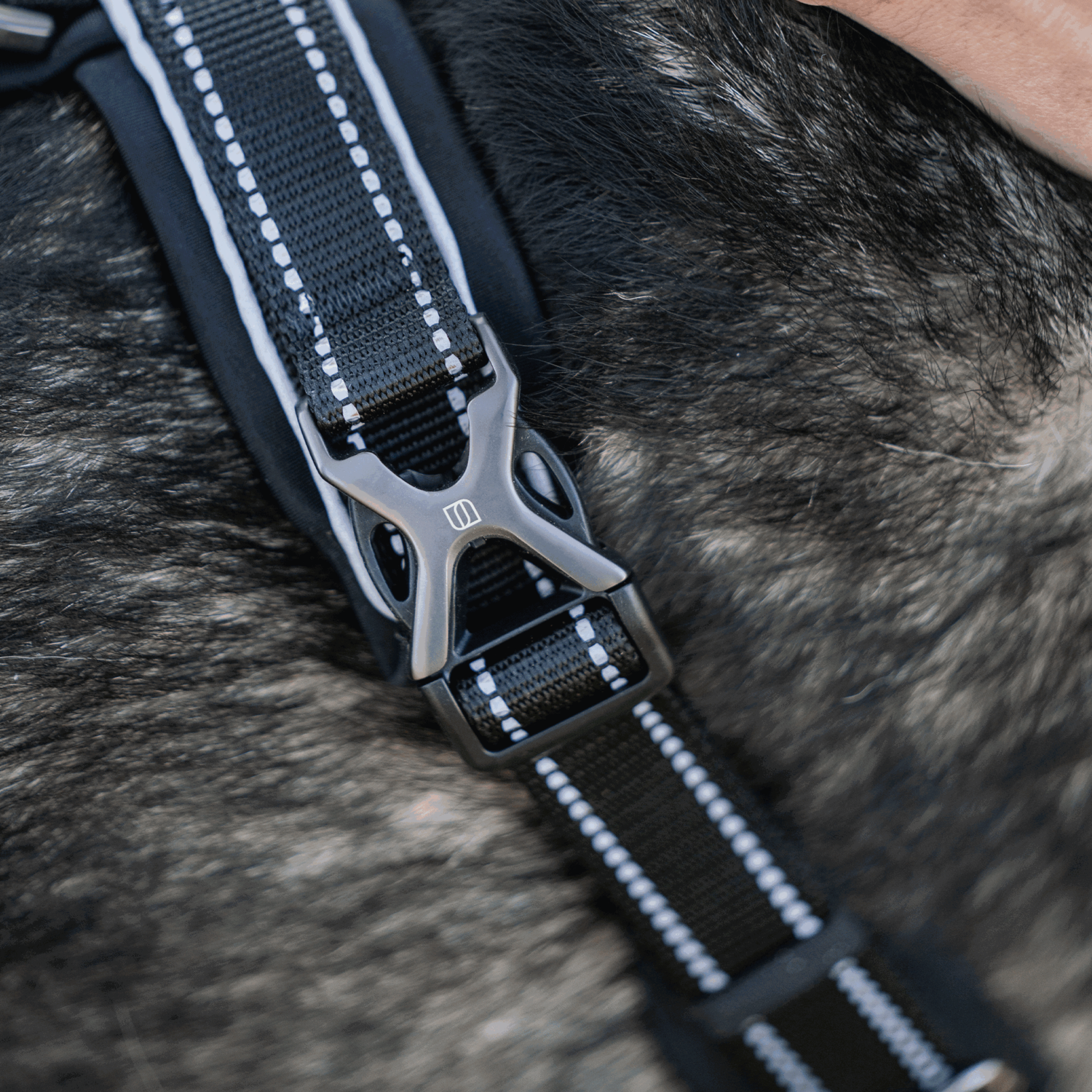 Wandern mit Hund Bundle schwarz | 59541-71_17.png | 1731102345