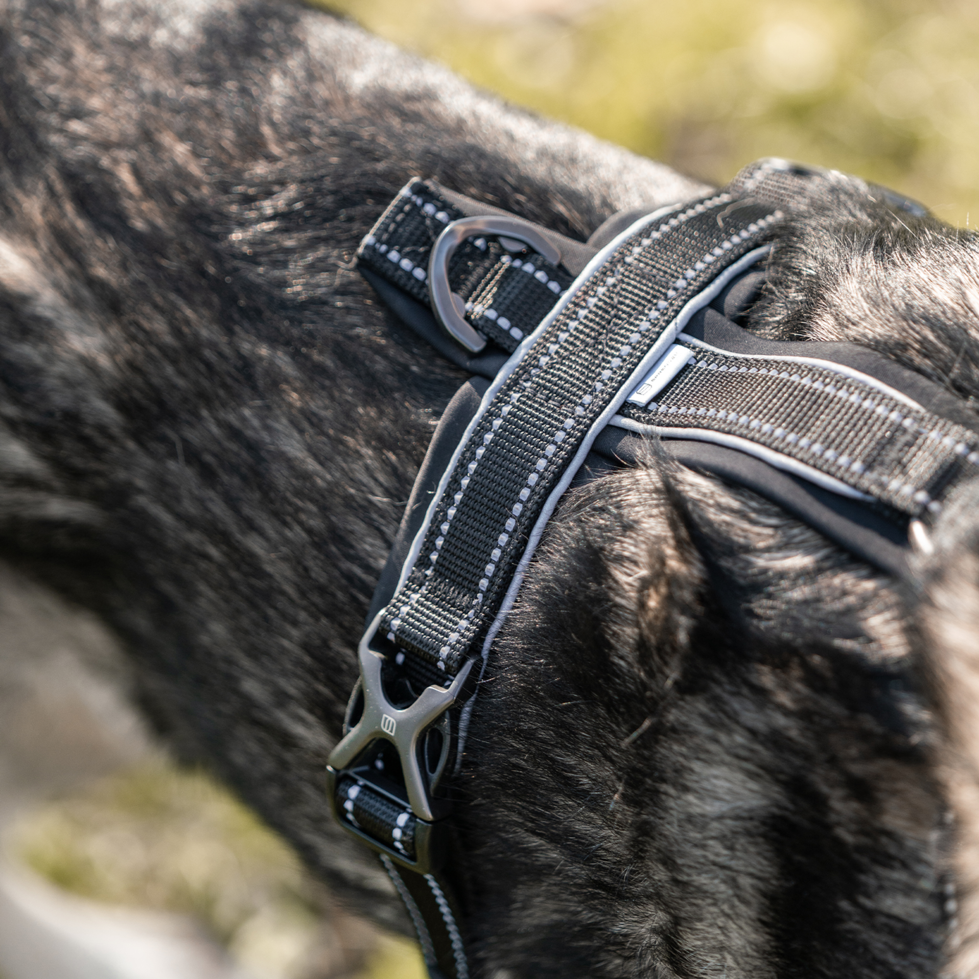 Hundegeschirr Y Geschirr | 59541-71_18.png