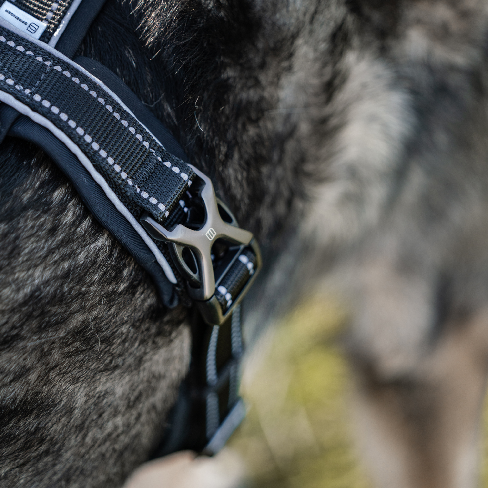 Hundegeschirr Y Geschirr | 59541-71_19.png