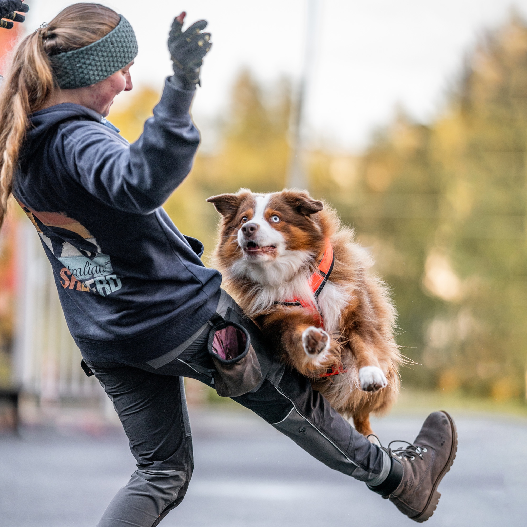 Hundegeschirr Y Geschirr | 59541-77_4.png