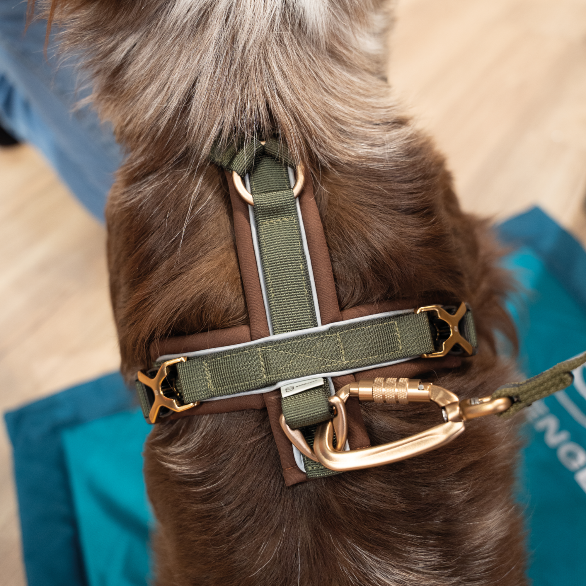 Hundegeschirr Y Geschirr 2 | 59541_75_3.png