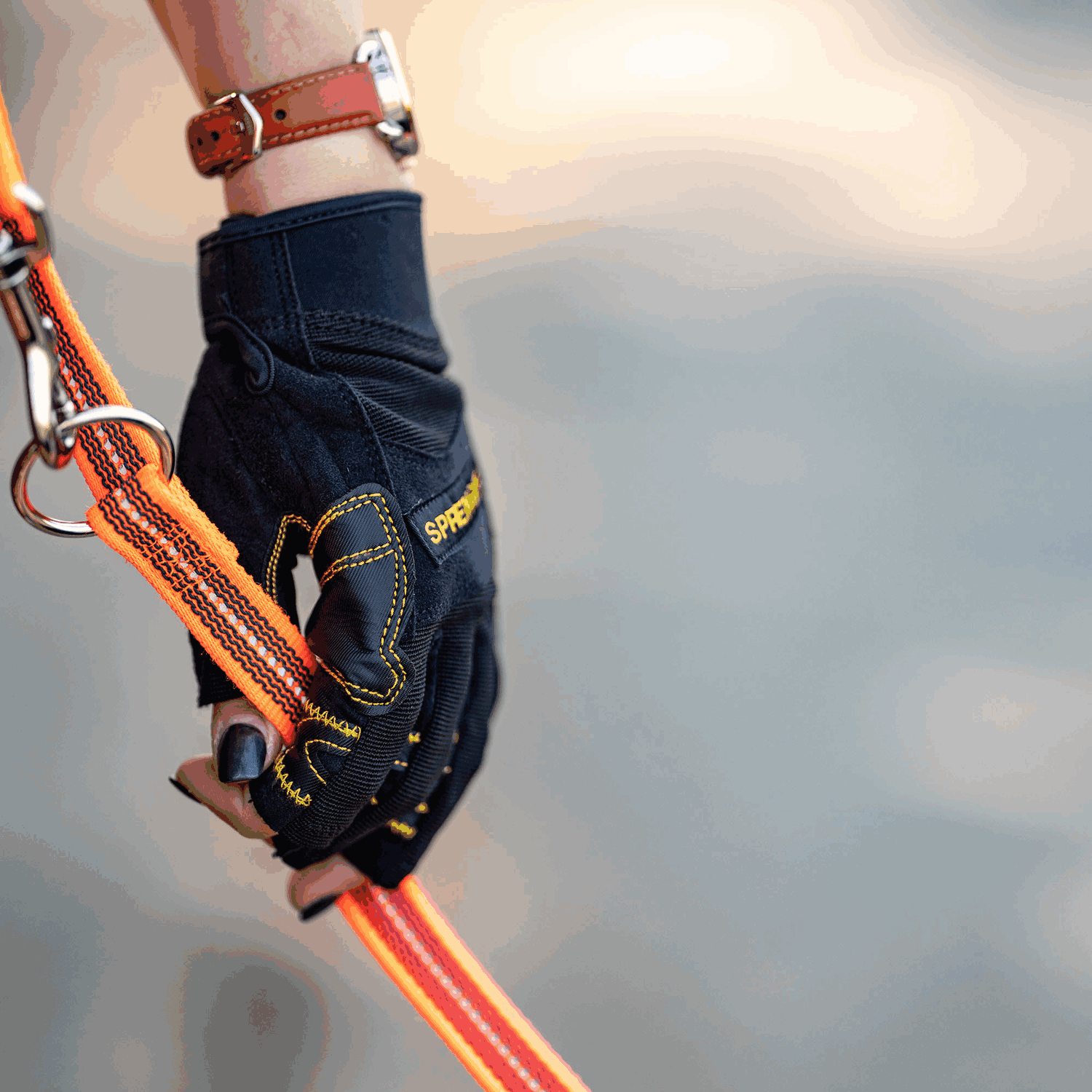 Handschuh FLEXGRIP SPORT | 59722_00_3.png | 1731103684