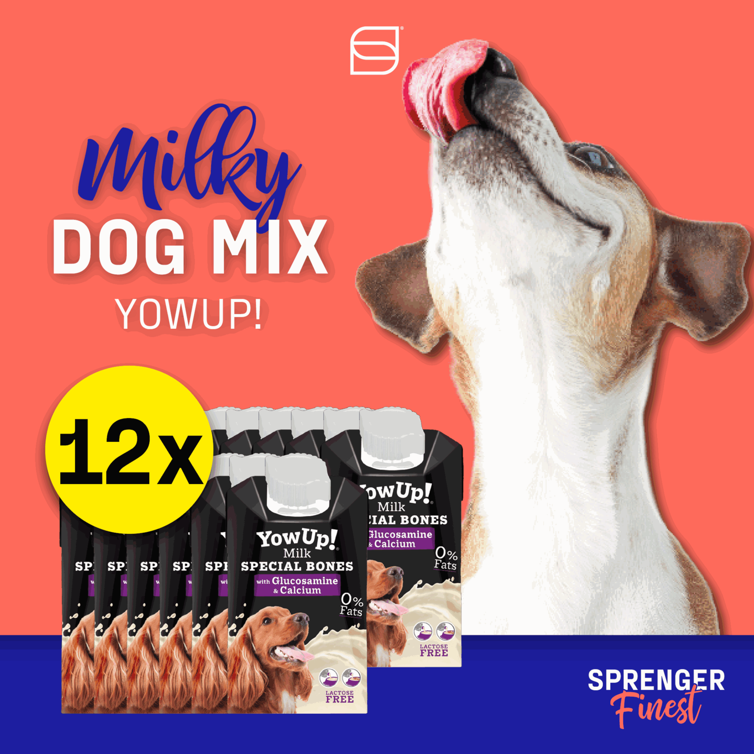 YowUp! Hunde Milch SPECIAL BONES 250ml (Box 12 Stück) | 5997000100(2).png