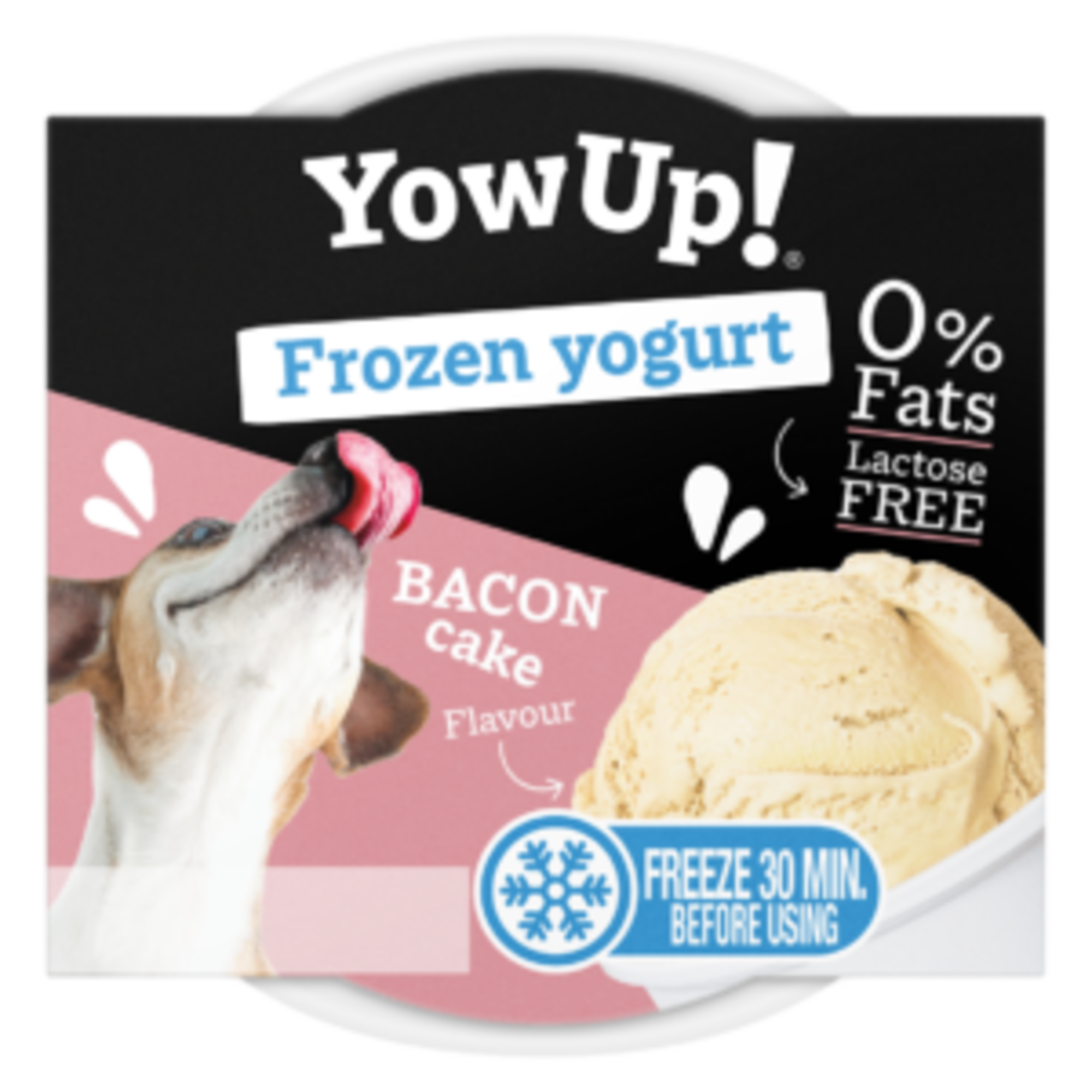 YowUp! Bundle – Frozen Yogurt & Joghurt Mixed Selection (12+10 Stück) | 5998000100.png