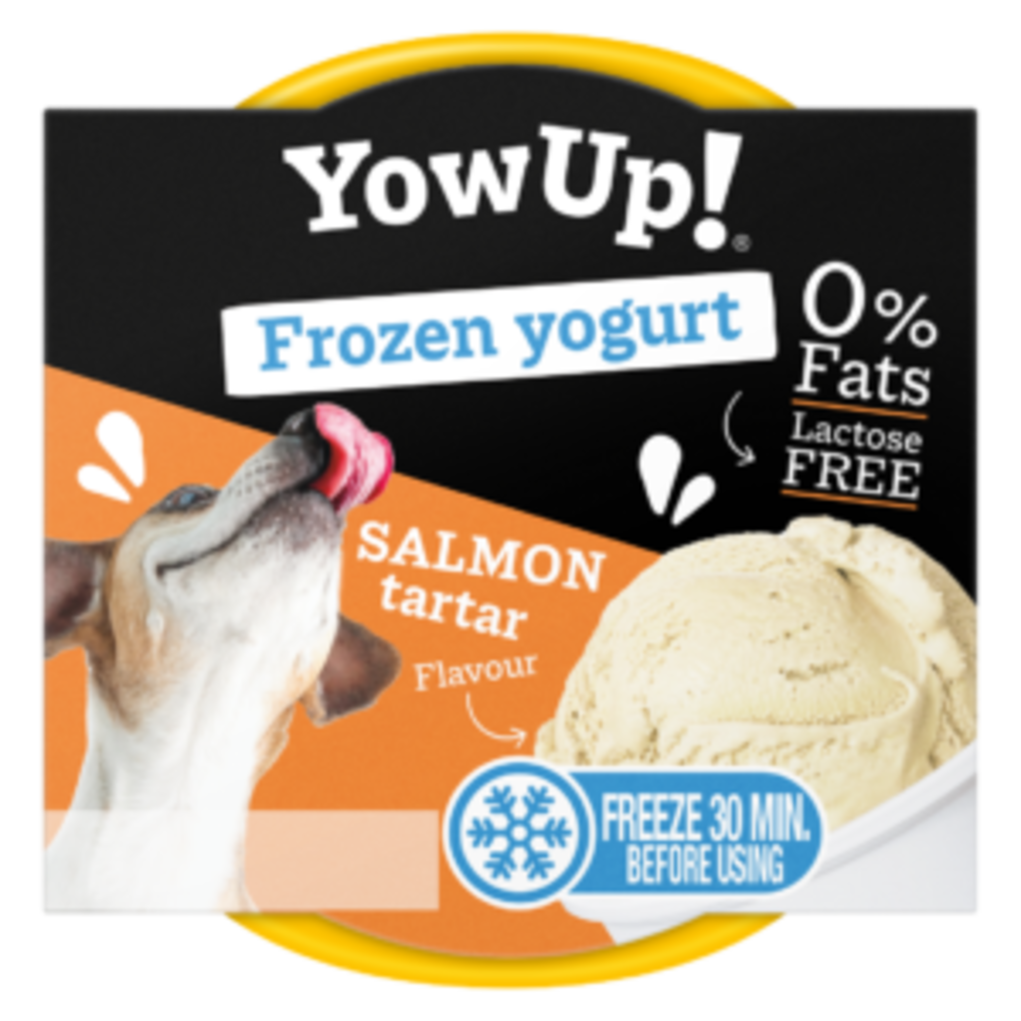 YowUp! Bundle – Frozen Yogurt & Joghurt Mixed Selection (12+10 Stück) | 5998000200.png