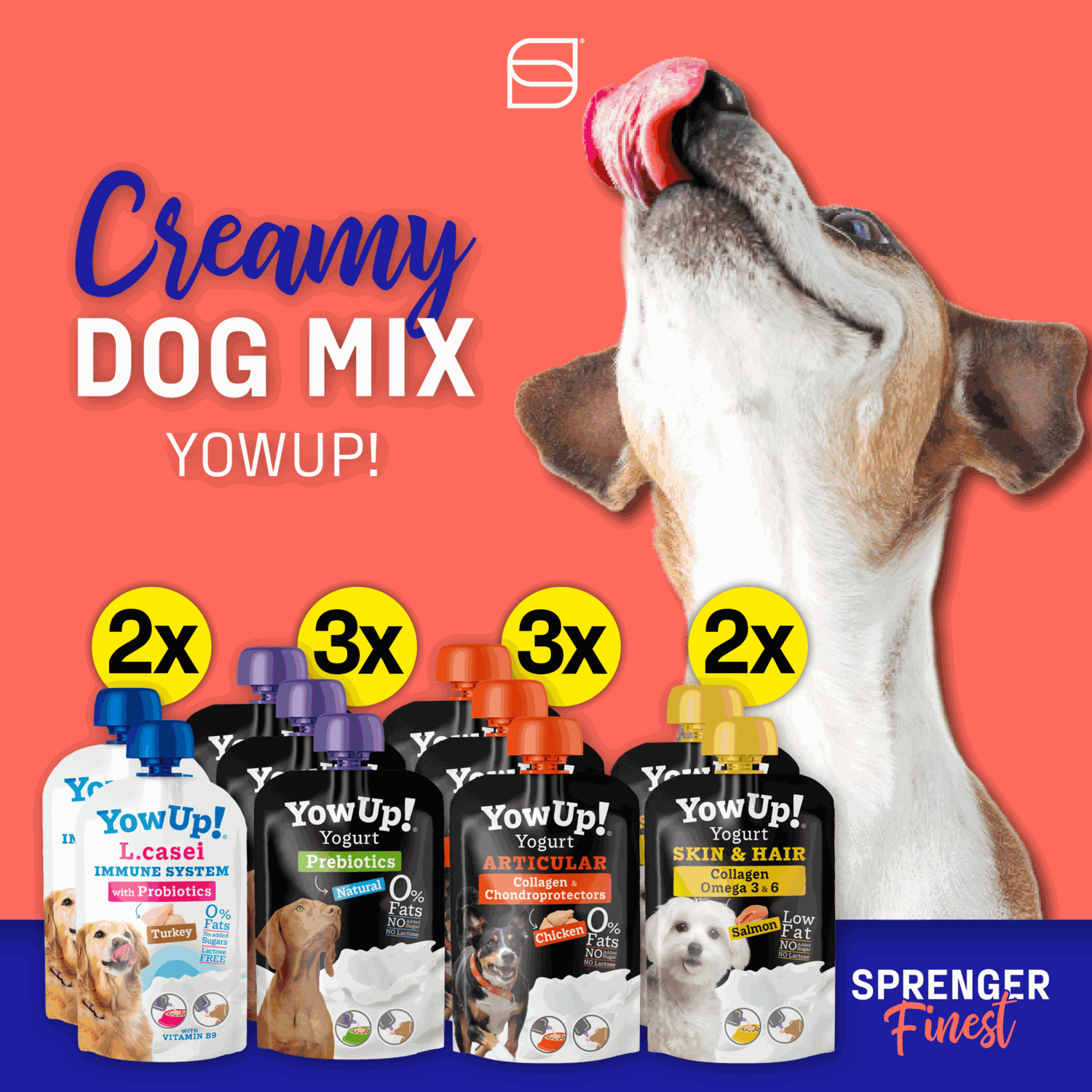 YowUp! Hunde Joghurt 115g (Box 10 Stück) | 5999000900.png