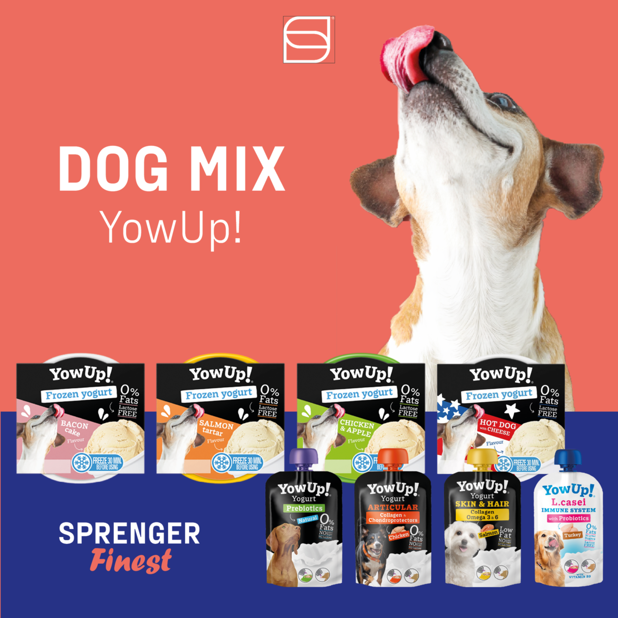 YowUp! Bundle – Frozen Yogurt & Joghurt Mixed Selection (12+10 Stück) | 5999937200.png