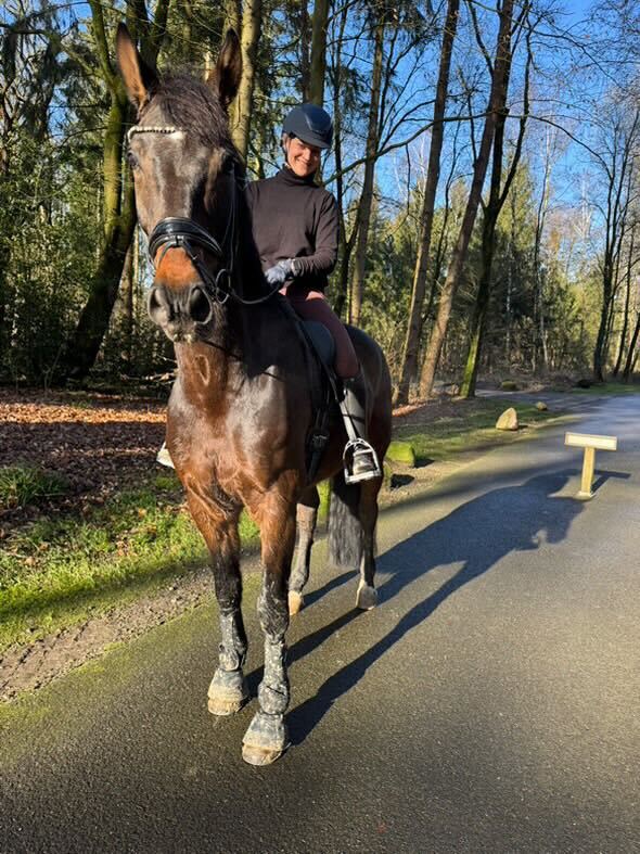 Frau reitet auf braunen Pferd
