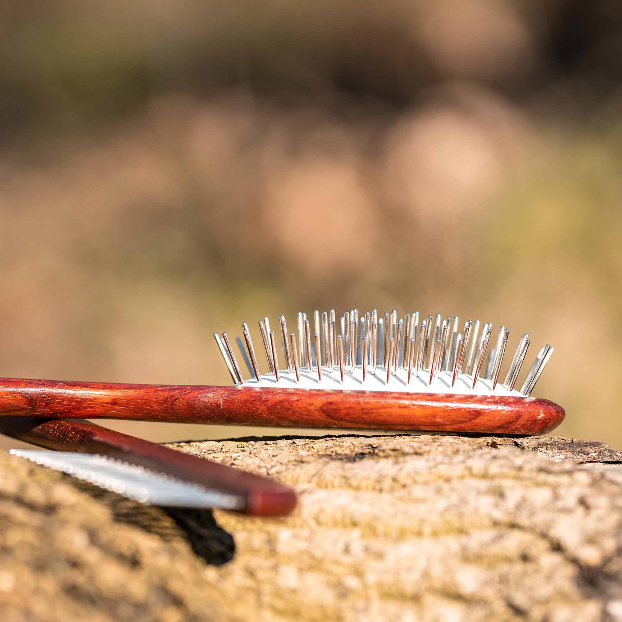 Hundebürste gestaucht 20 mm Metallstifte | Bürsten_1.png