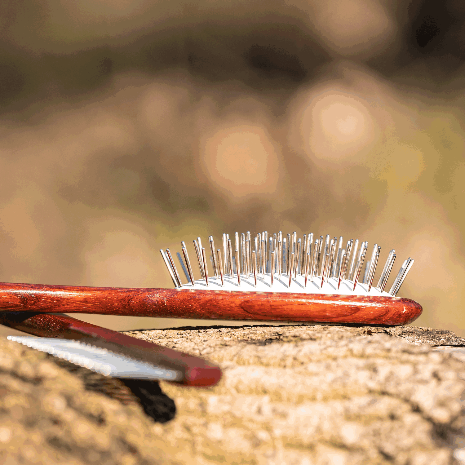 Hundebürste gestaucht 20 mm Metallstifte | Bürsten_1.png | 1731103703