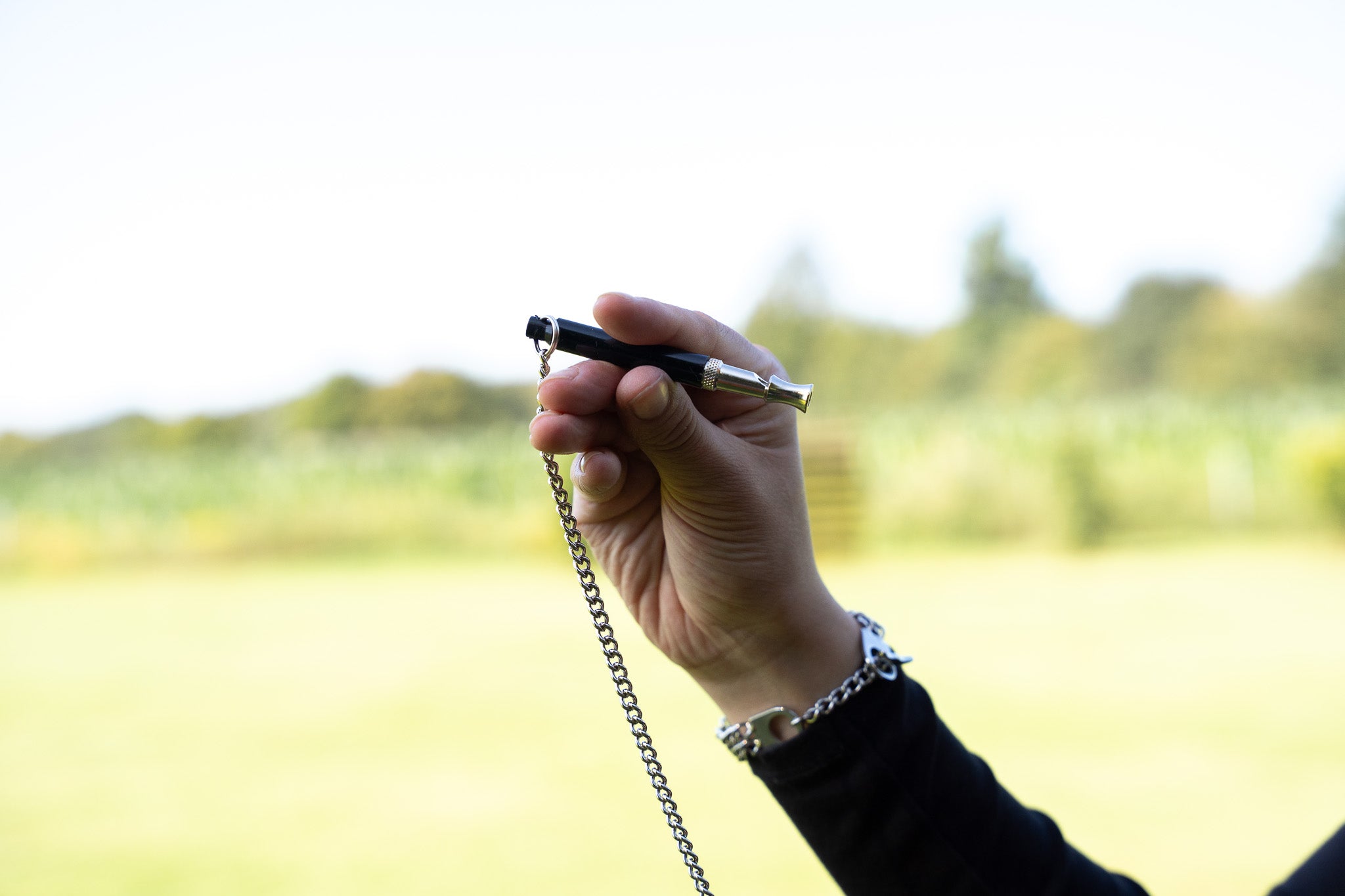 Hundepfeife mit Kette in der Hand