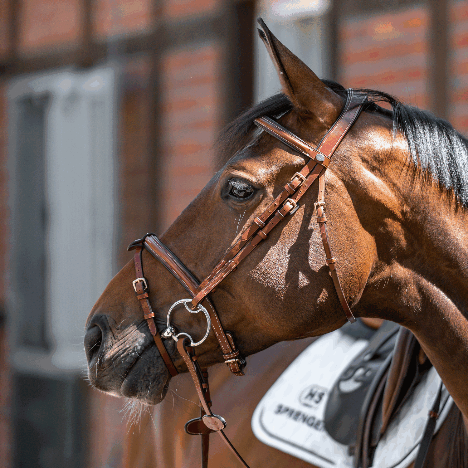 Dynamic RS Multi Ring Gebiss 16 mm einfach gebrochen Sensogan | Multiring_01.png | 1731065657