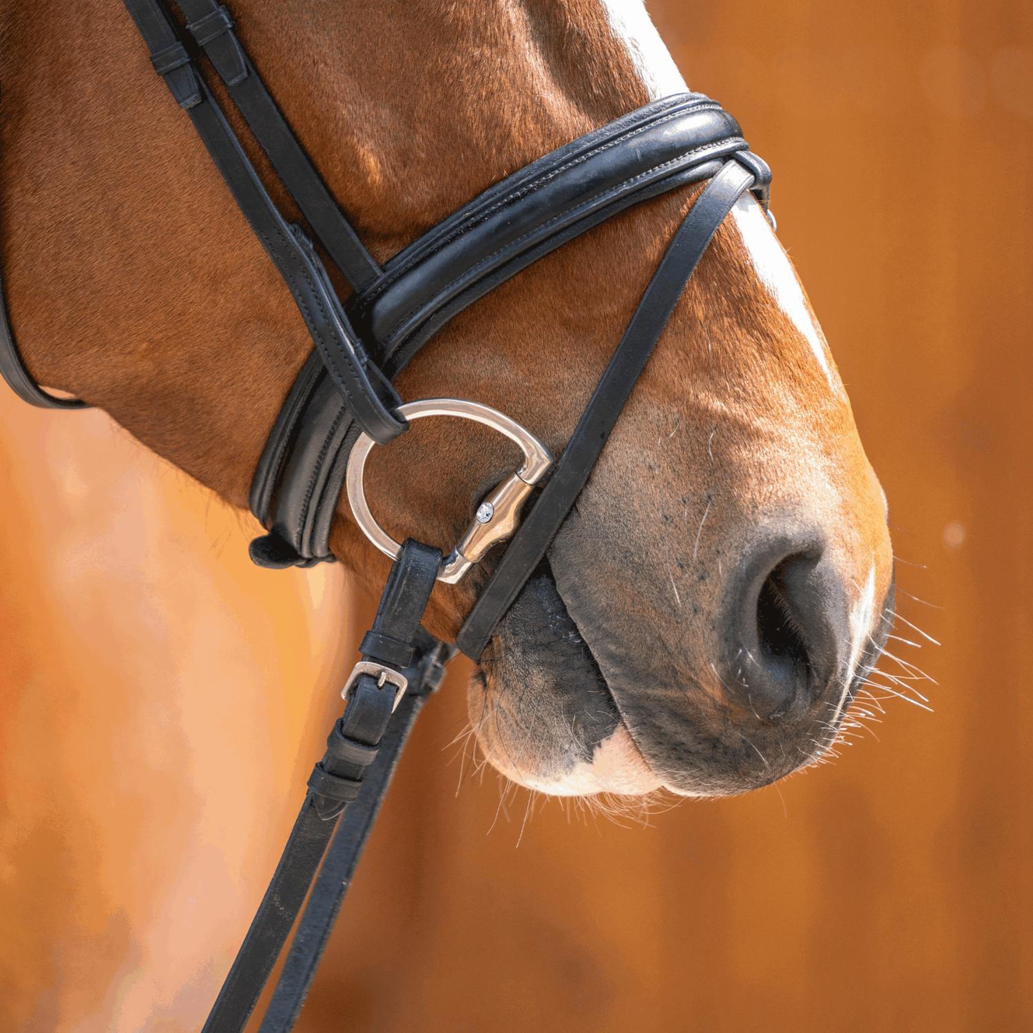 Dynamic RS Shinebright Olivenkopfgebiss mit D förmigem Ring 16 mm einfach gebrochen | Olive_D-Ring_Chrysolite.png | 1731101340