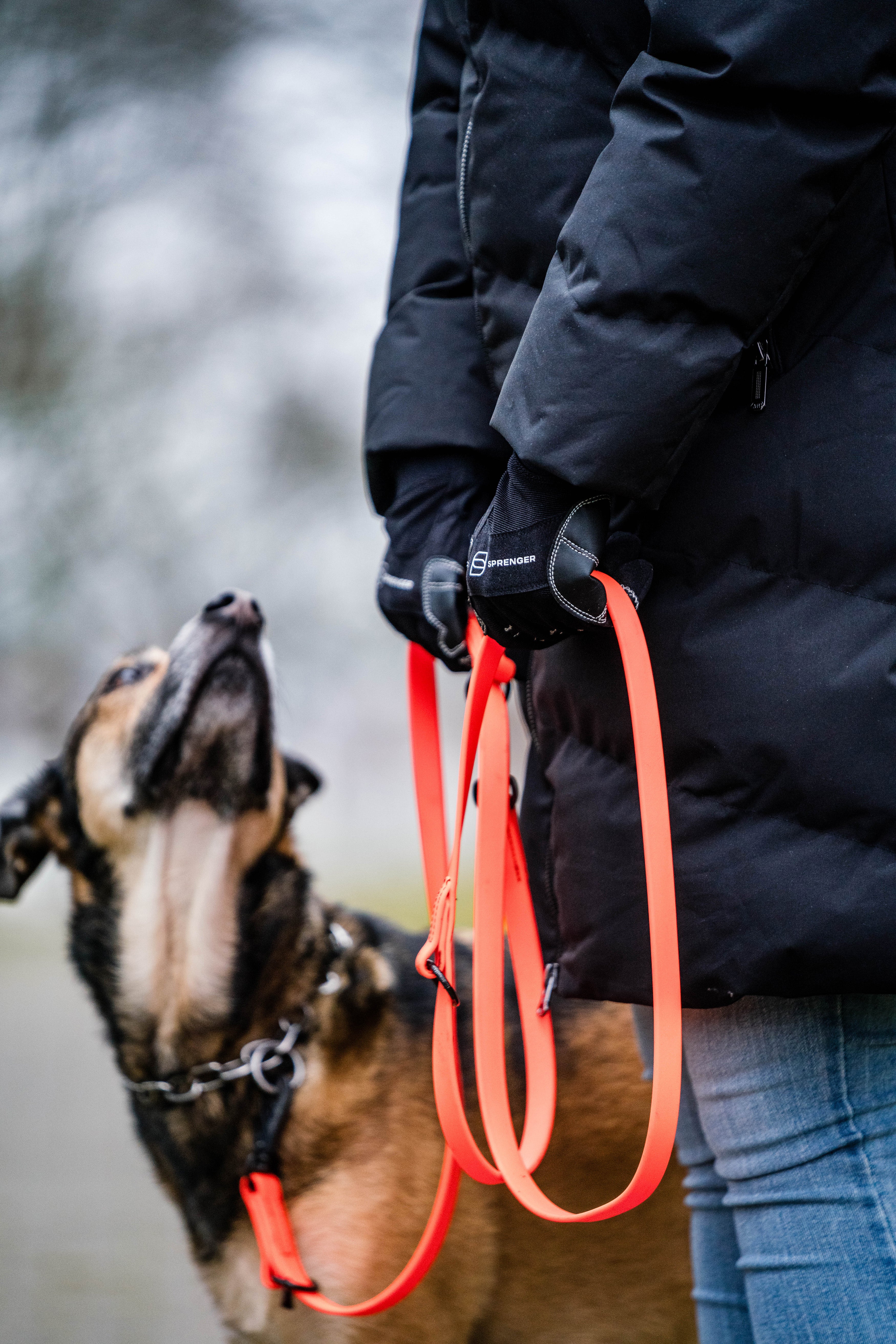 Schwarze Sprenger Handschuhe und orangene Biothane Leine