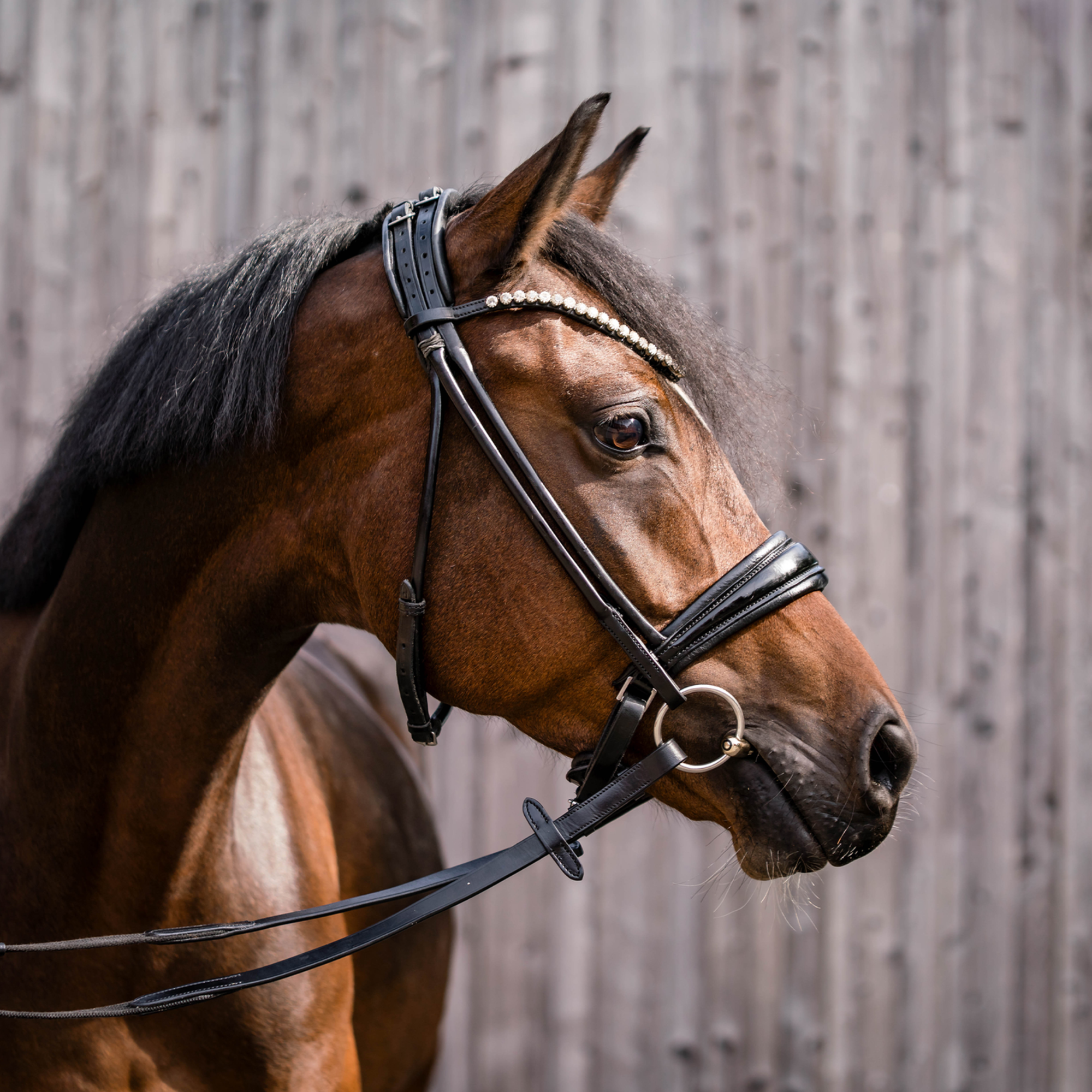 Dynamic Pony / Island Gebiss 12 mm einfach gebrochen | Unterlegtrense_Pony_01.png