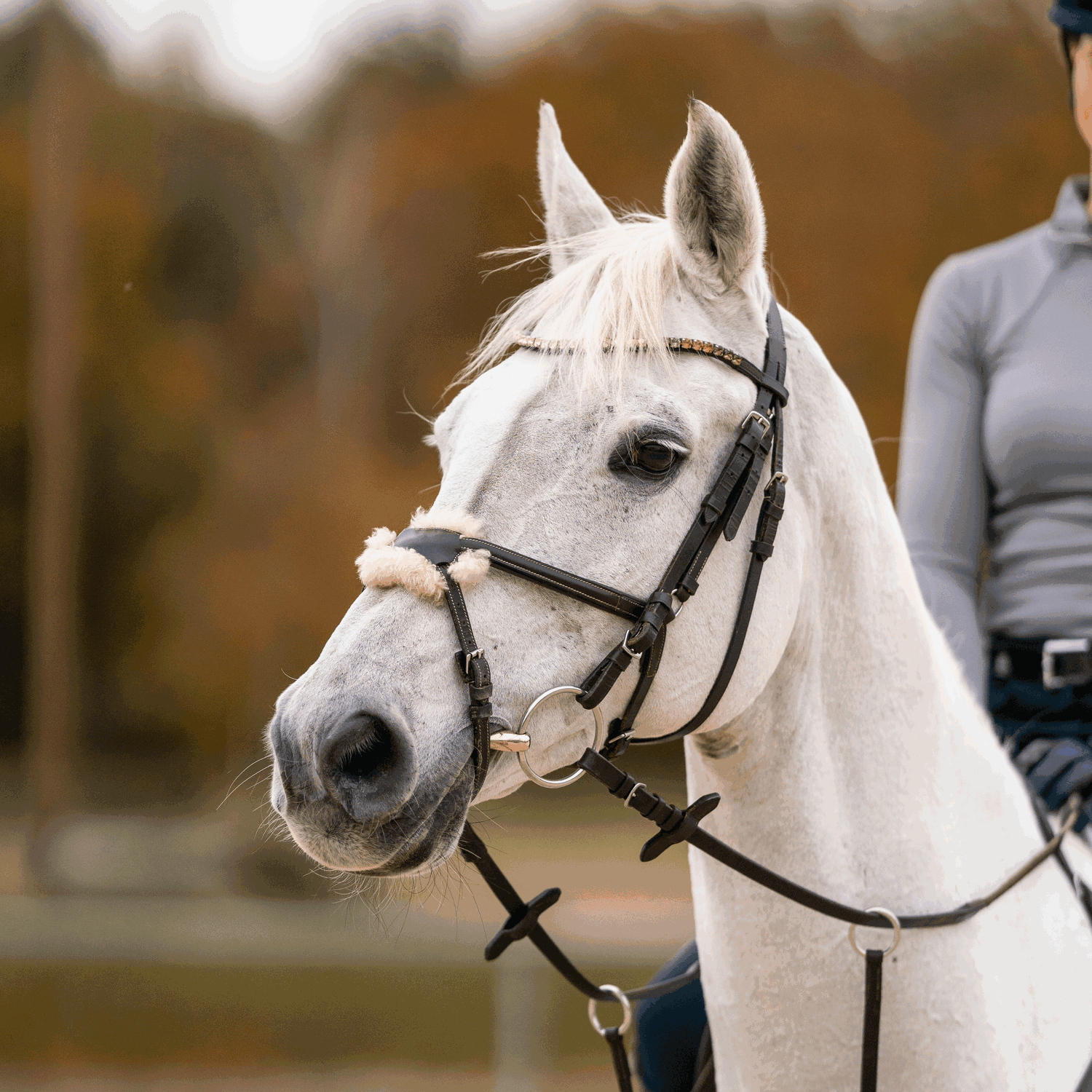 KK Korrekturgebiss 18 mm | Wassertrense_03.png | 1731065830