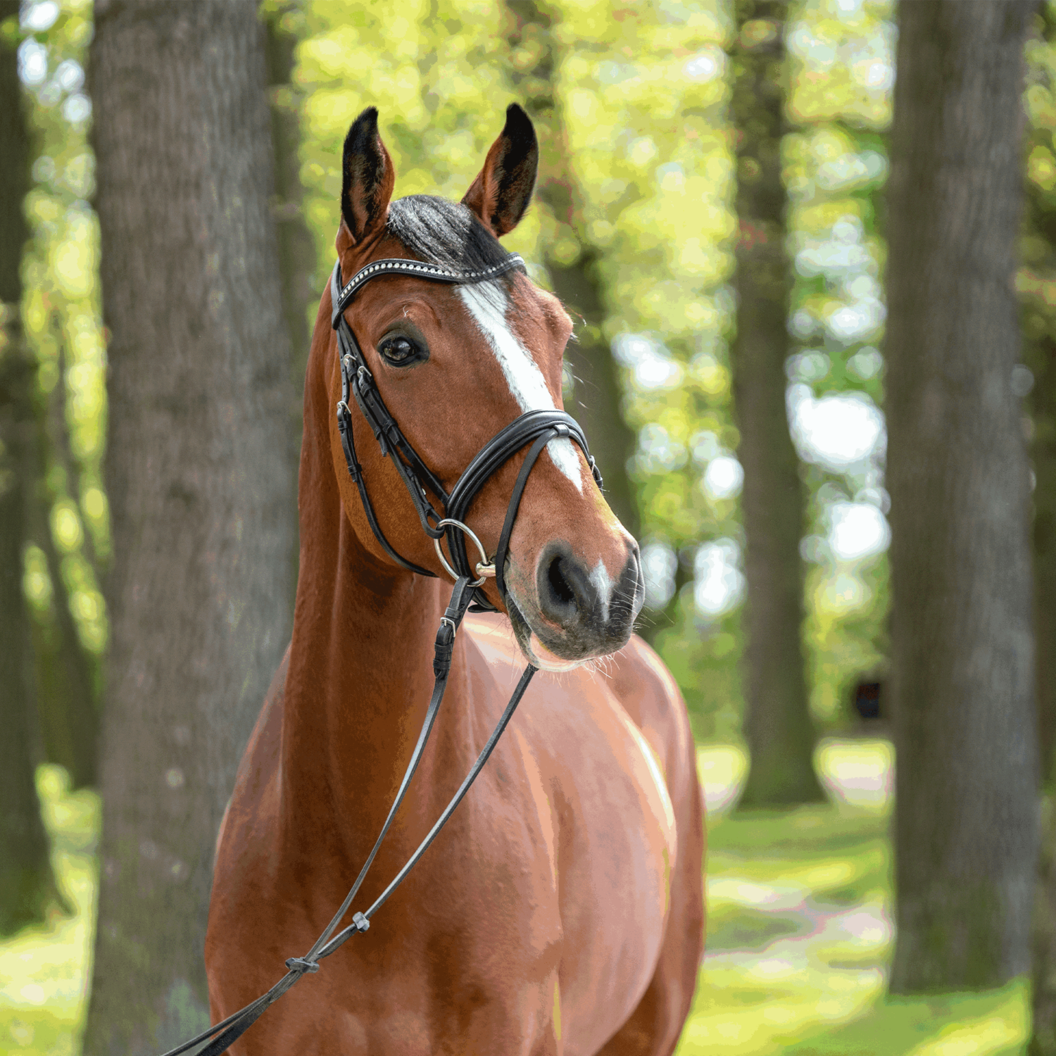 KK ULTRA Wassertrense Sensogan | Wassertrense_19.png