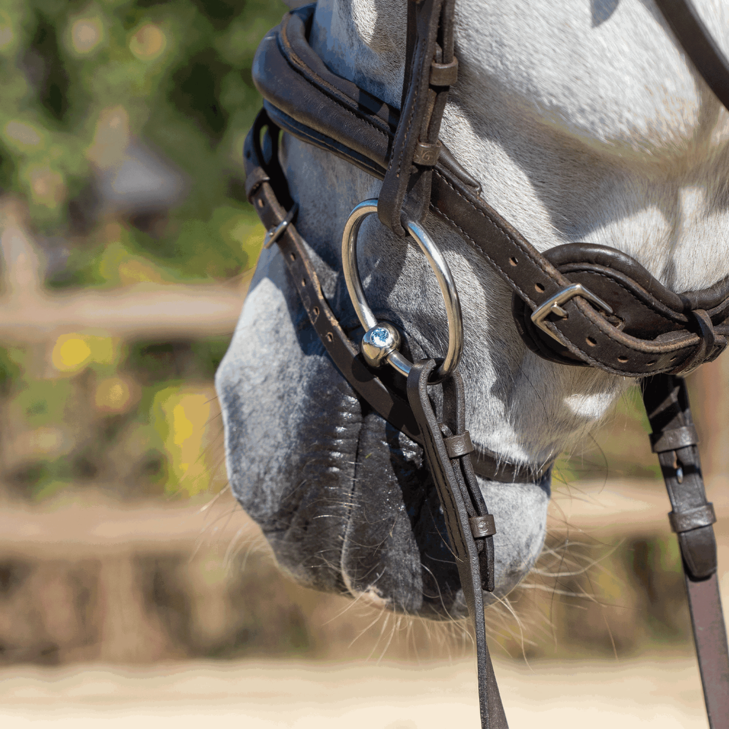 Dynamic RS Shinebright Wassertrense 16 mm doppelt gebrochen | Wassertrense_Aquamarin_01.png | 1731101300