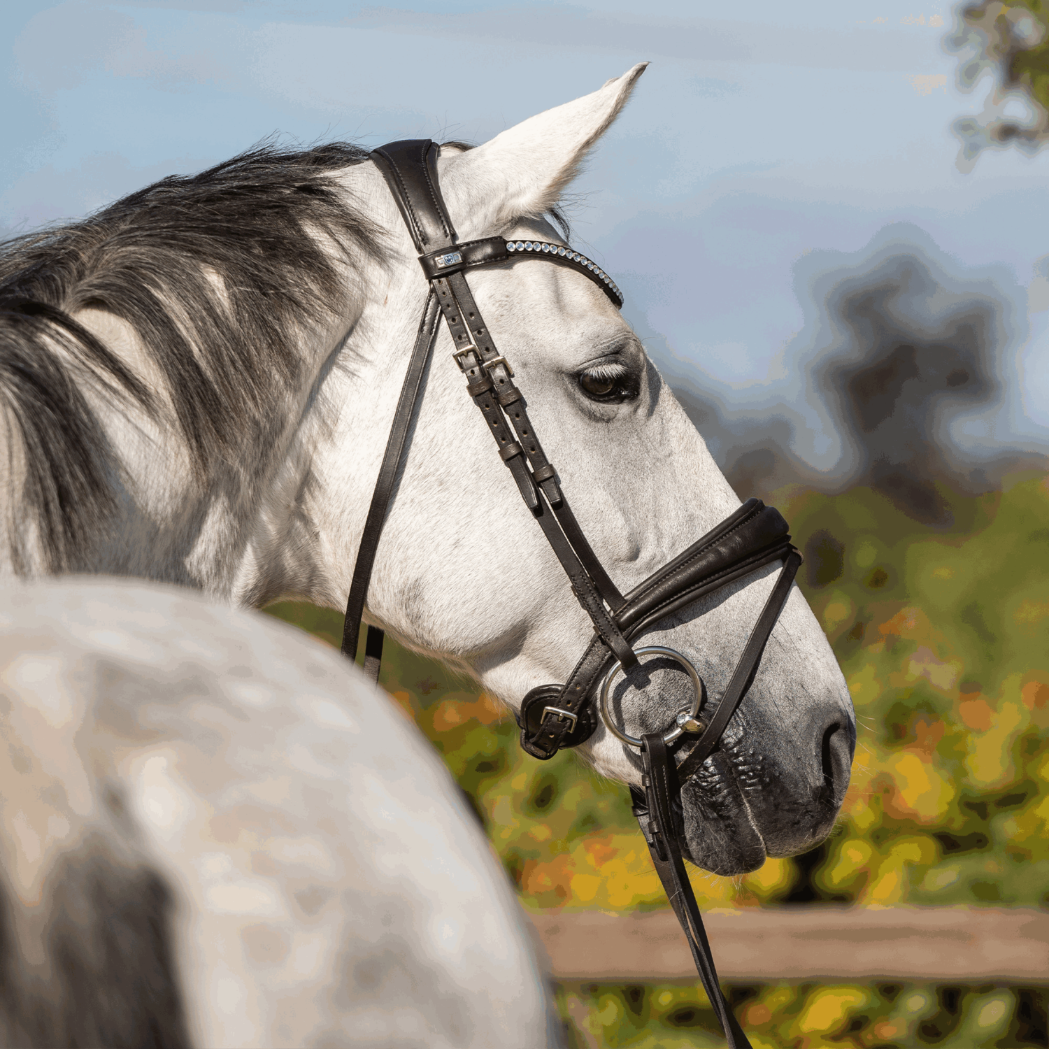 KK ULTRA Shinebright Wassertrense | Wassertrense_Crystal_03.png