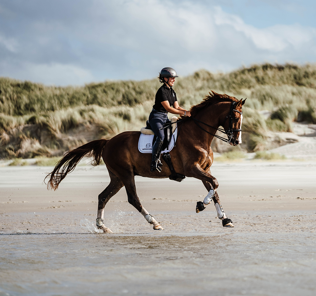 Reiterin auf einem braunen Pferd, das dynamisch am Strand galoppiert. Der Reiter trägt einen Schutzhelm und ein schwarzes Oberteil, während die Wasseroberfläche durch die Hufe des Pferdes aufgewühlt wird. Im Hintergrund sind sanfte Dünen und ein bewölkter Himmel sichtbar, was die Szenerie harmonisch ergänzt.